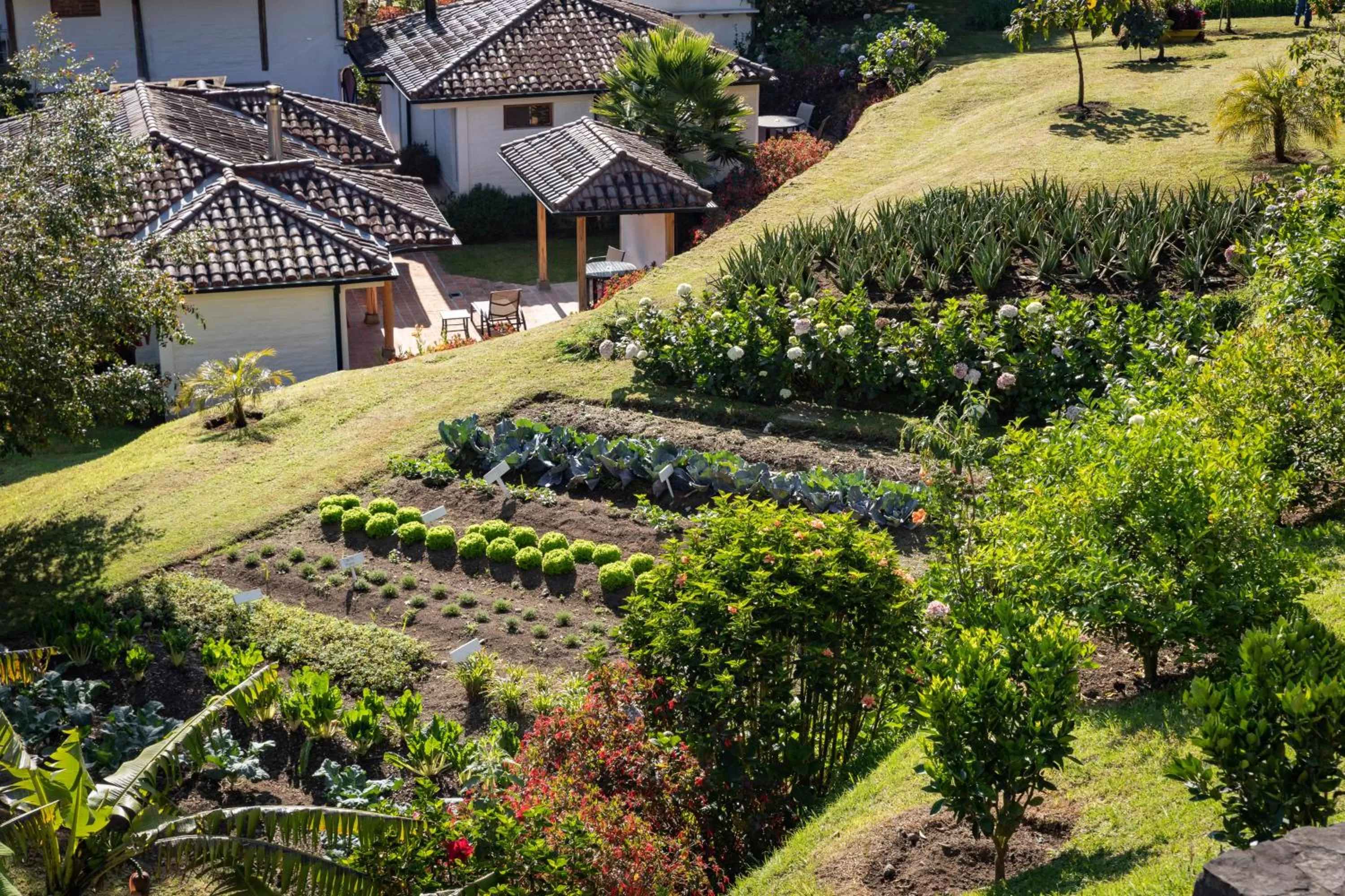 Garden in Luna Volcán, Adventure SPA - formerly Luna Runtún