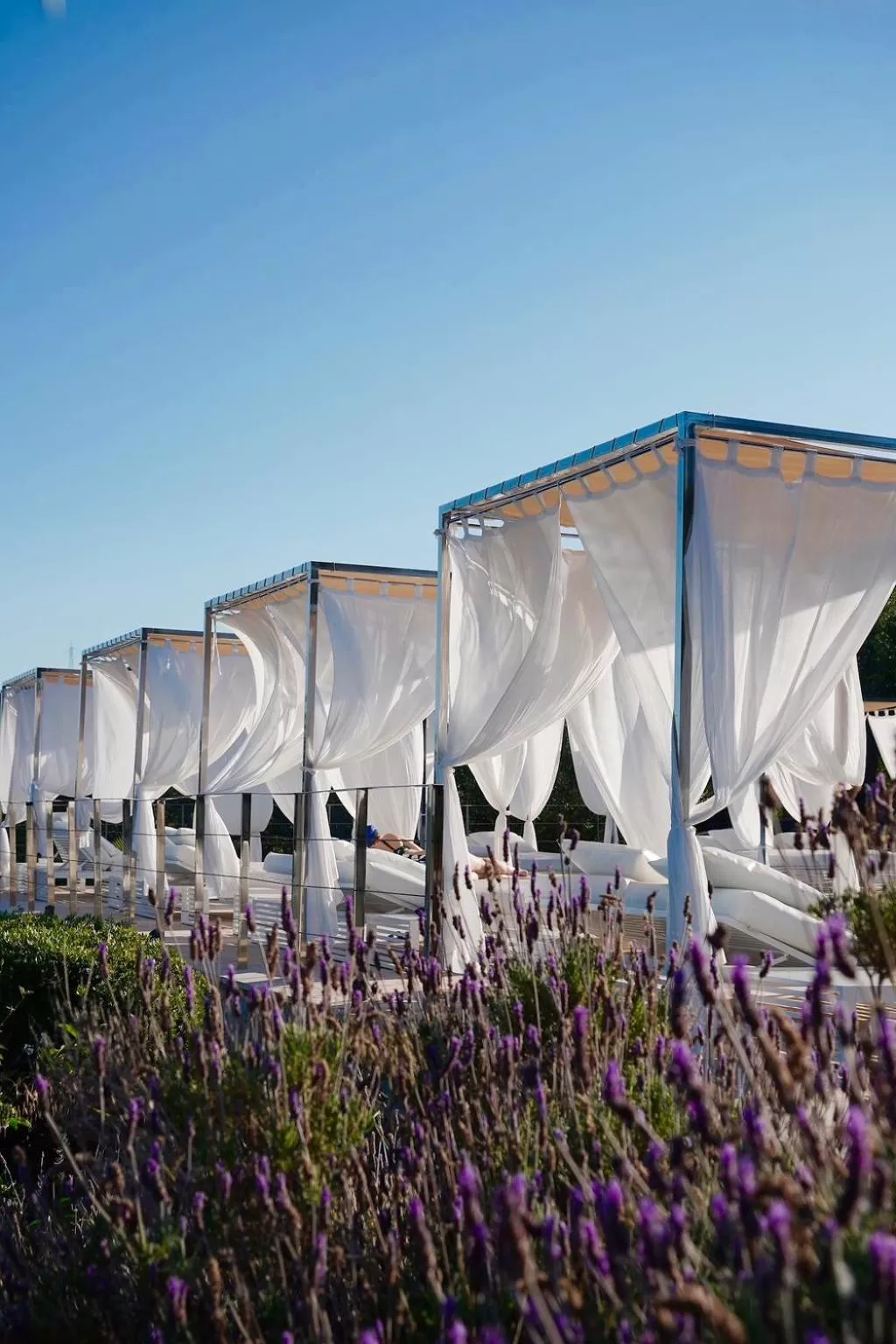 Garden in Cases de Son Barbassa Hotel & Restaurant