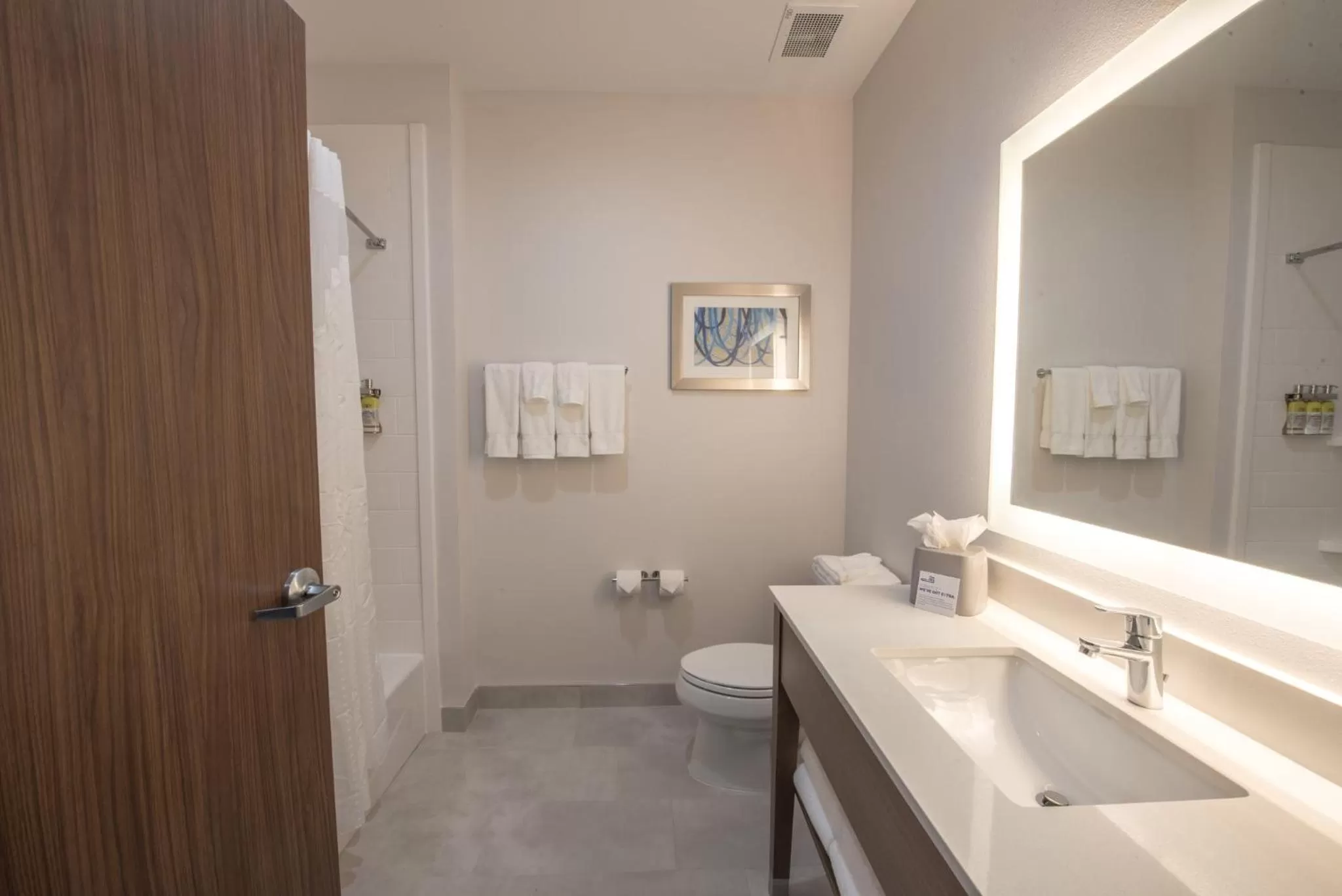 Bathroom in Holiday Inn Express & Suites - Houston Westchase - Westheimer by IHG