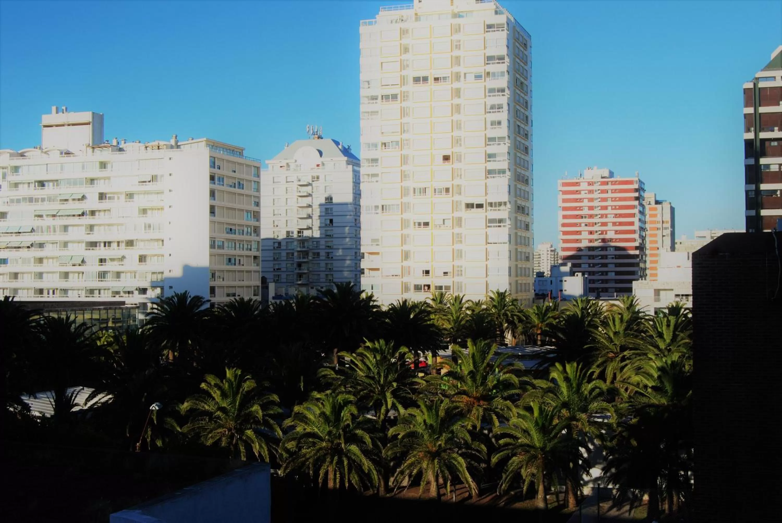 Junior Suite in Hotel 24