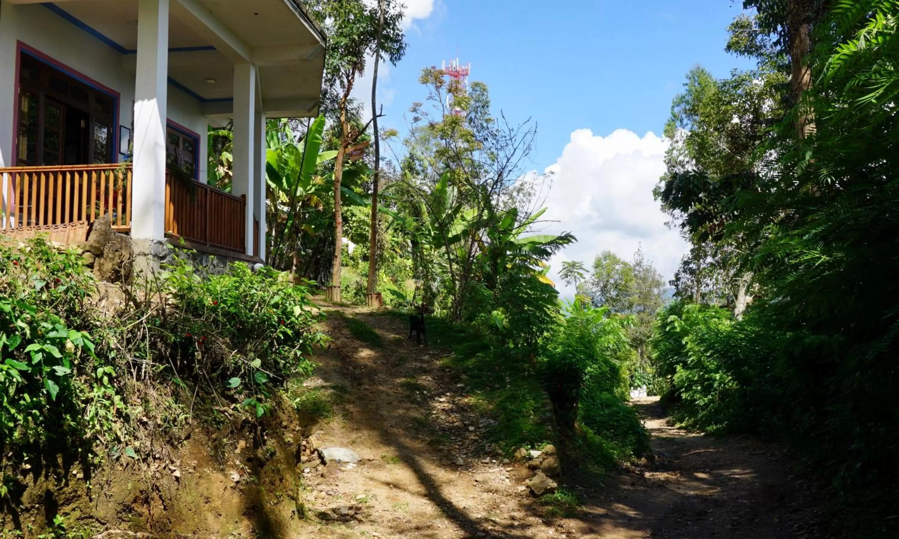 Facade/entrance in Sun View Resort Kithalella