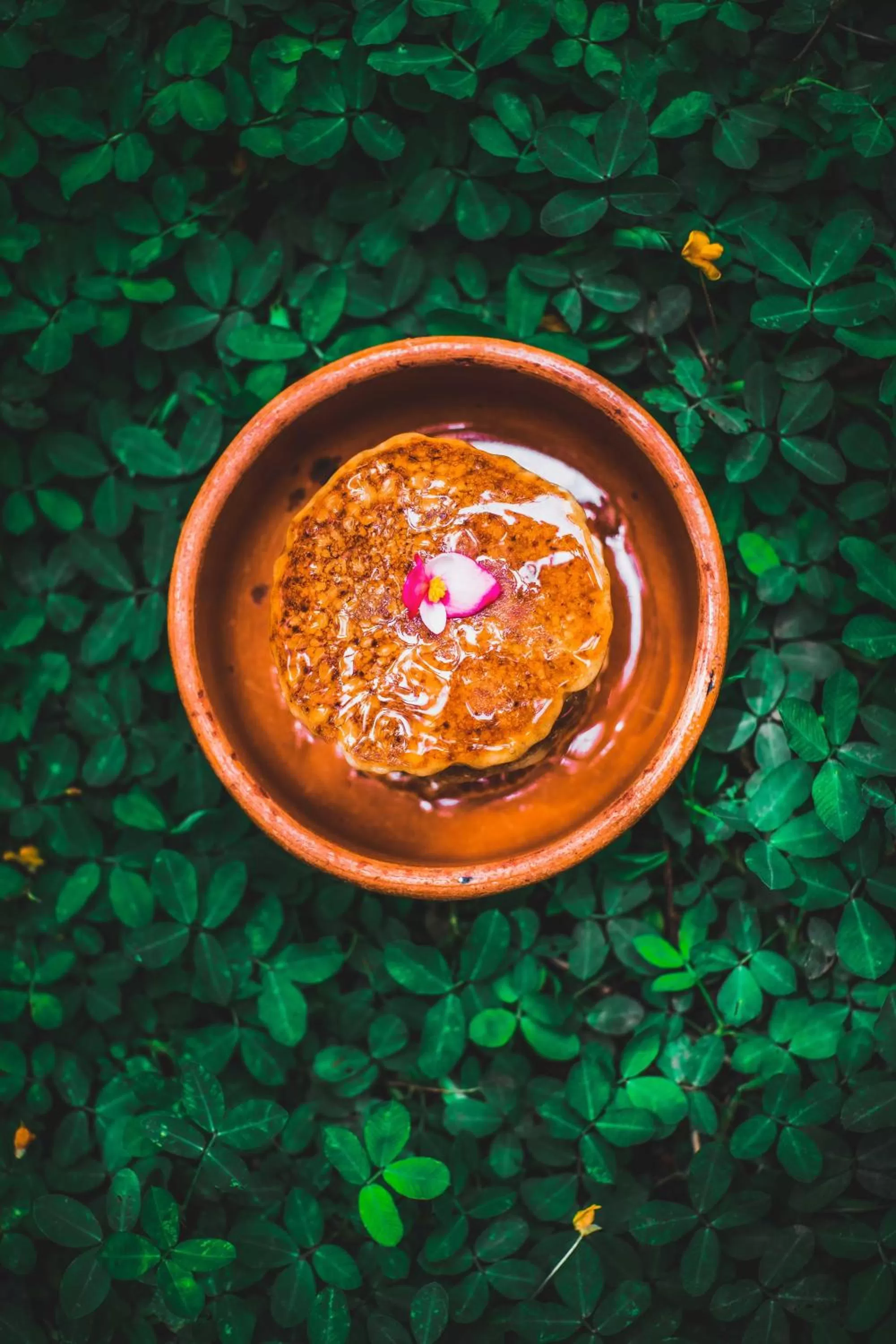 Food close-up, Food in Lush Atitlán
