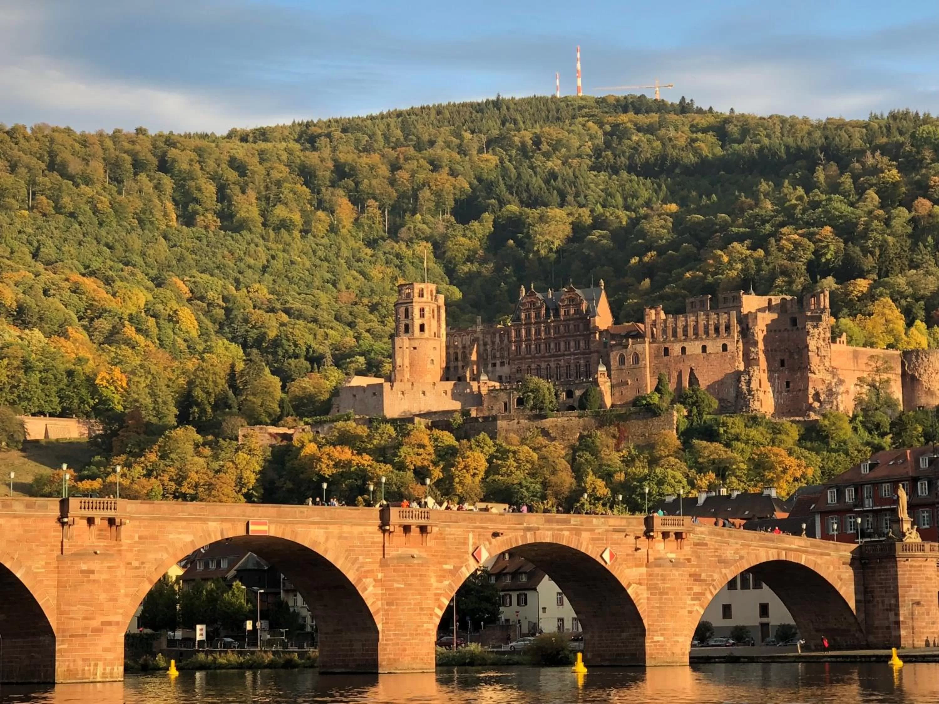 Nearby landmark in Boardinghotel Heidelberg