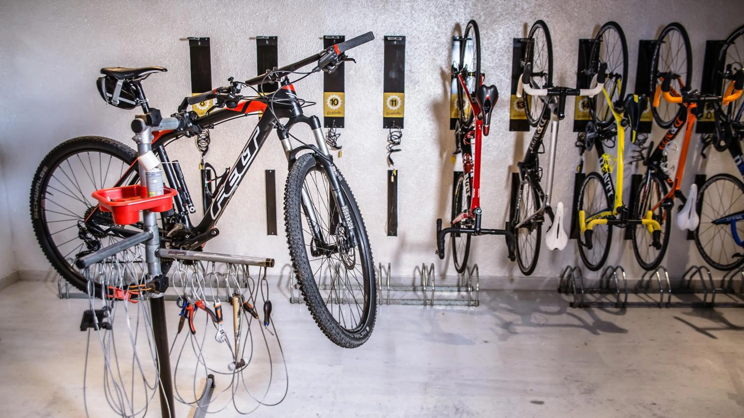 Cycling in Salles Hotels Marina Portals