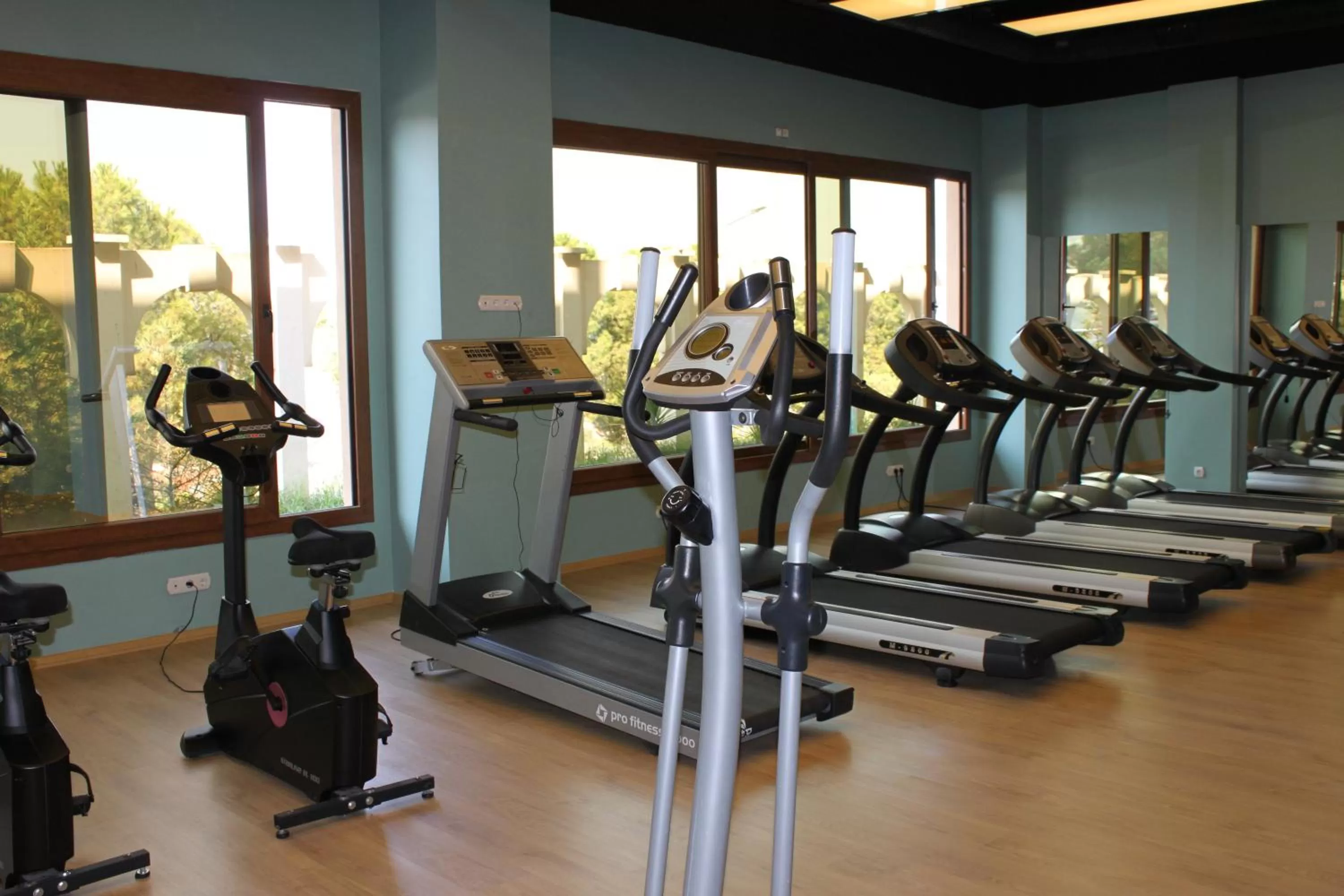 Fitness centre/facilities in Lidya Sardes Hotel Thermal & SPA
