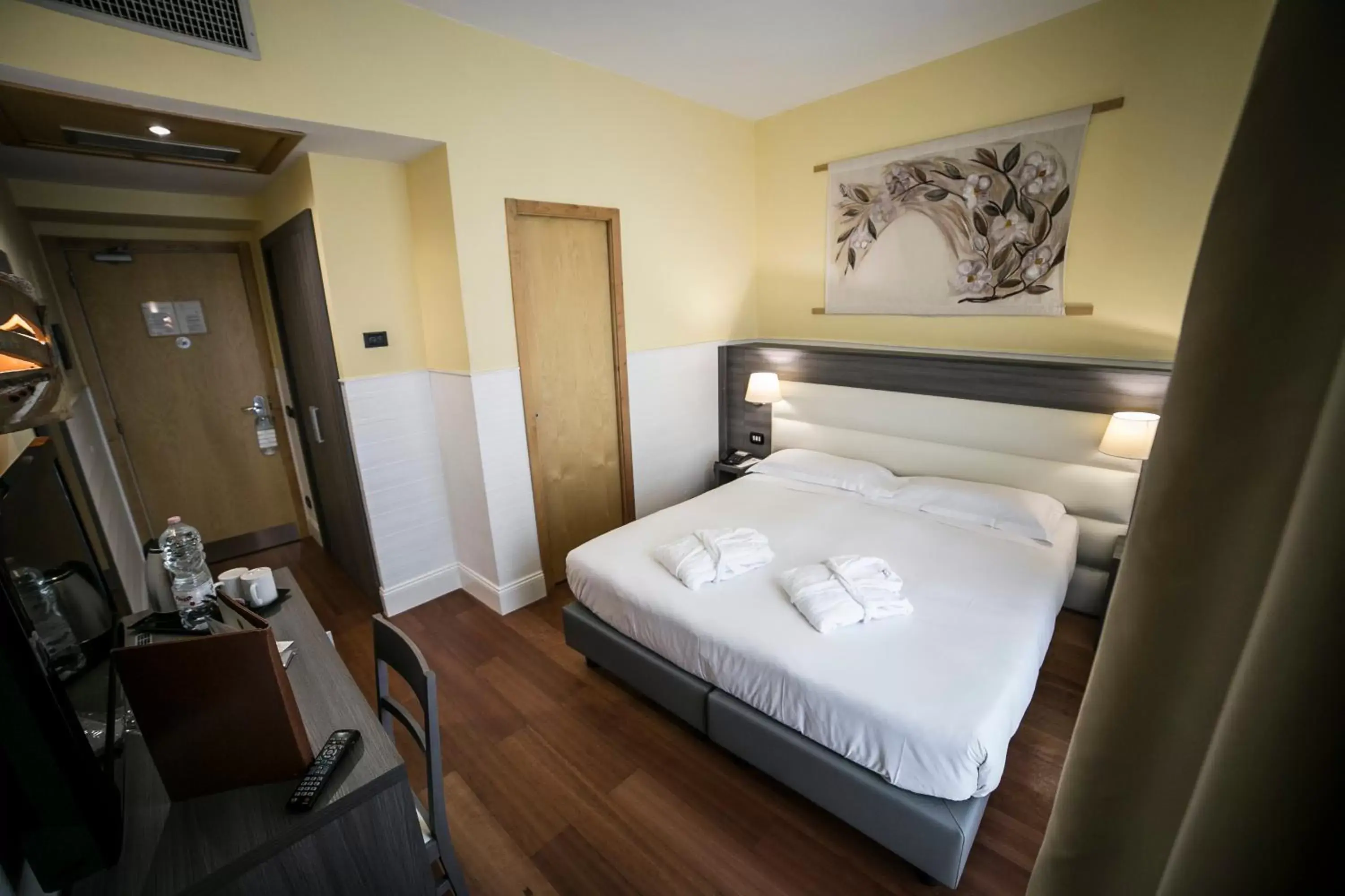 Business Double Room (1 Adult) in Hotel Aphrodite Business Double Room (1 Adult) in Hotel Aphrodite