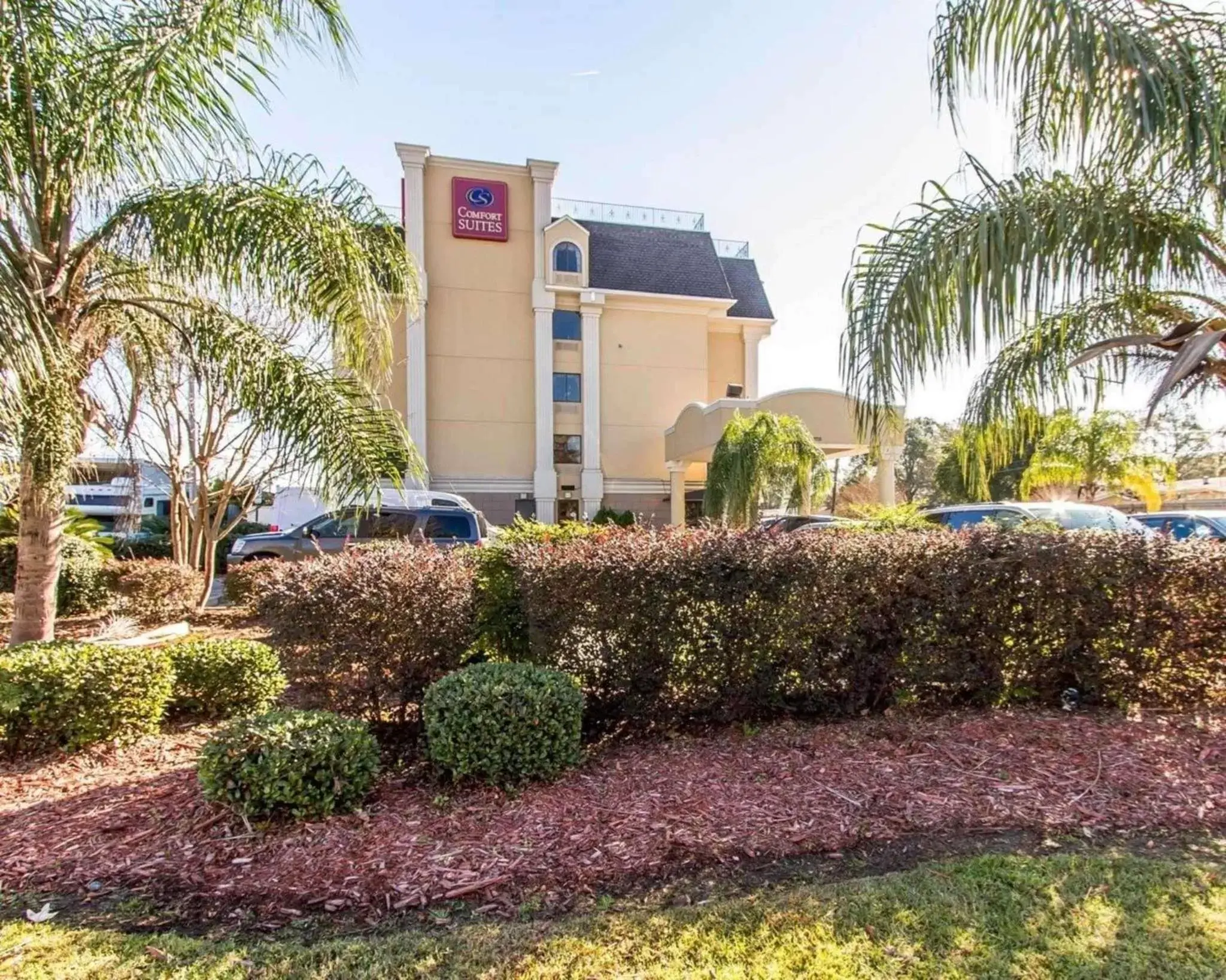 Comfort Suites Kenner Comfort Suites Kenner