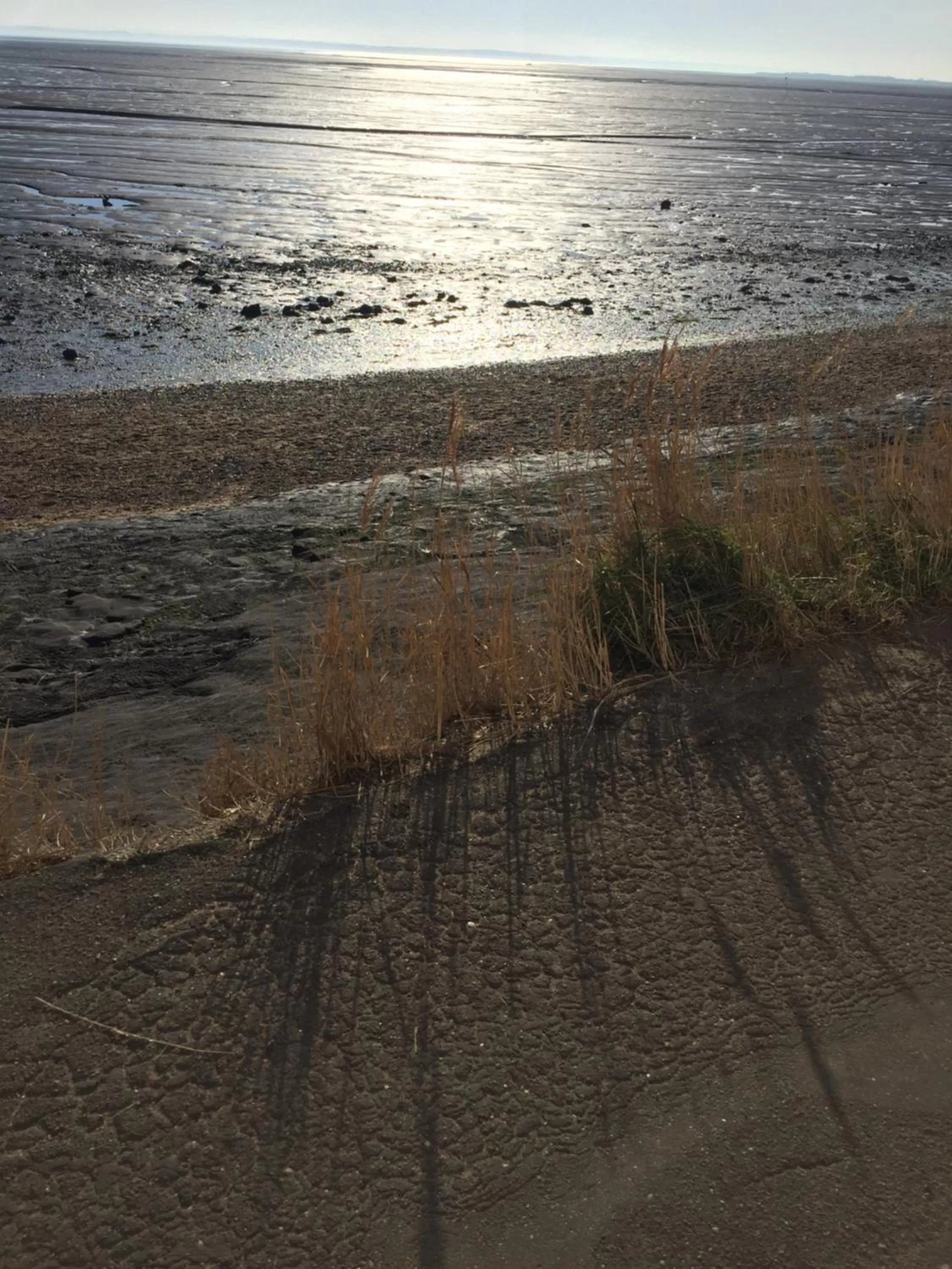 Natural landscape, Beach in Southend Airport Bed & Breakfast