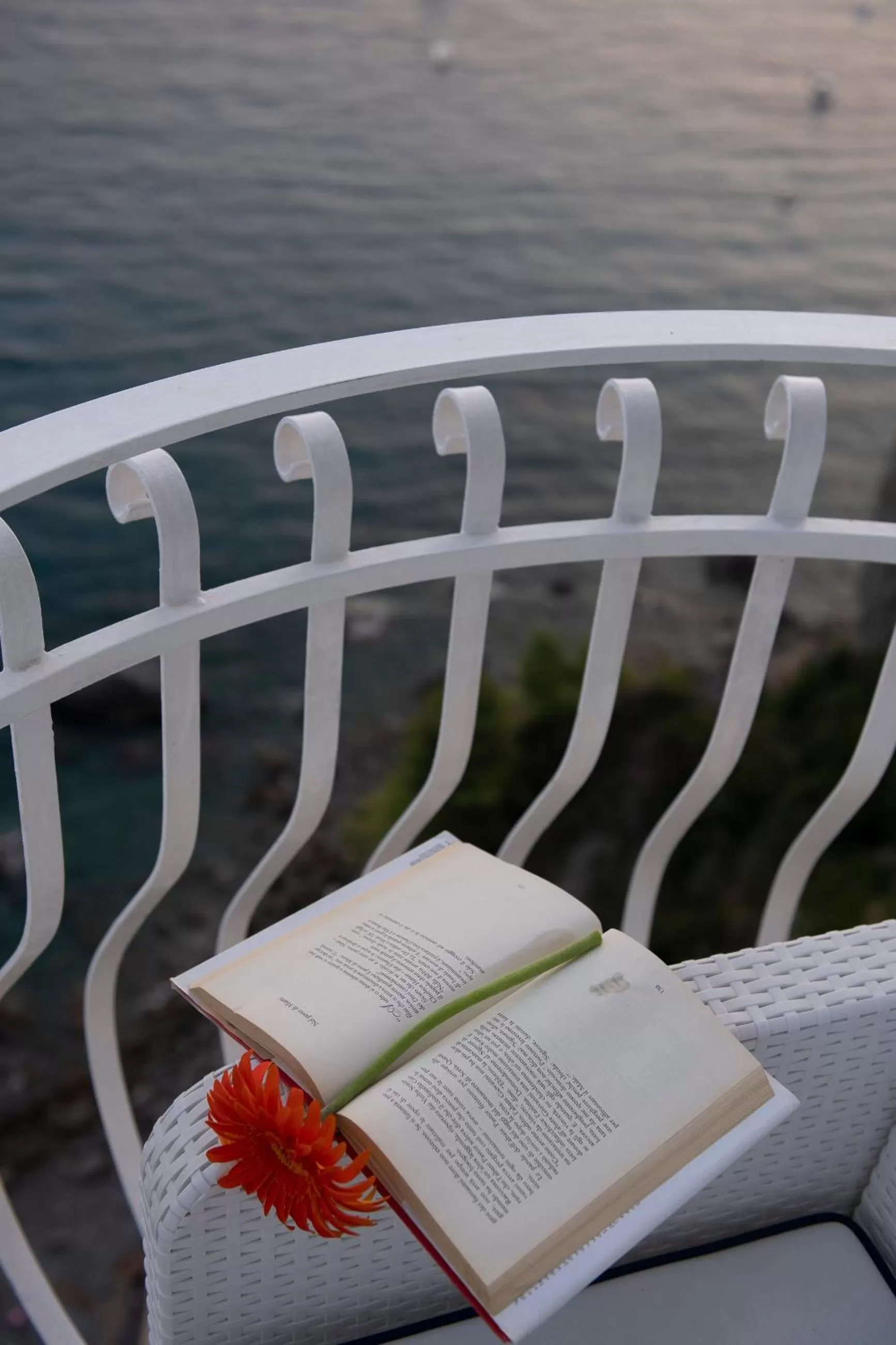 Balcony/Terrace in Hotel La Ninfa