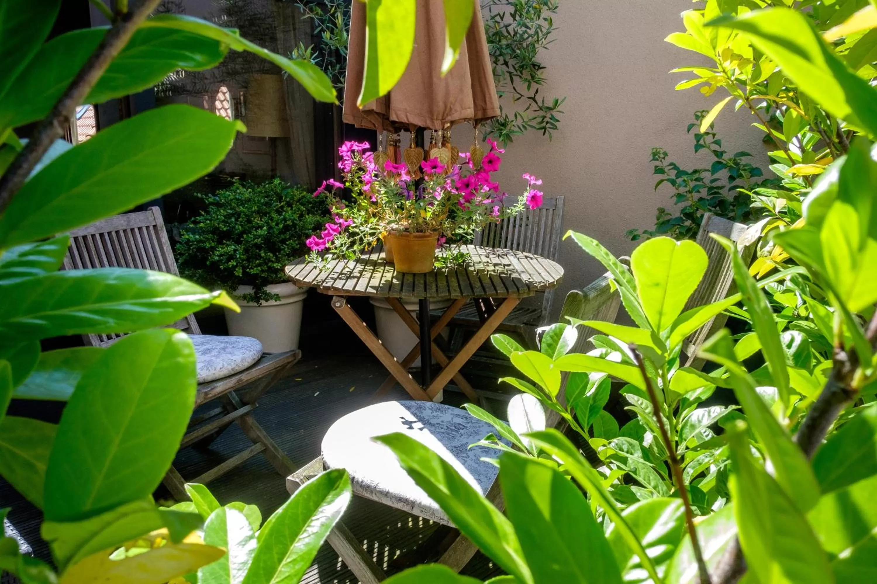 Patio in Hotel Diamonds and Pearls