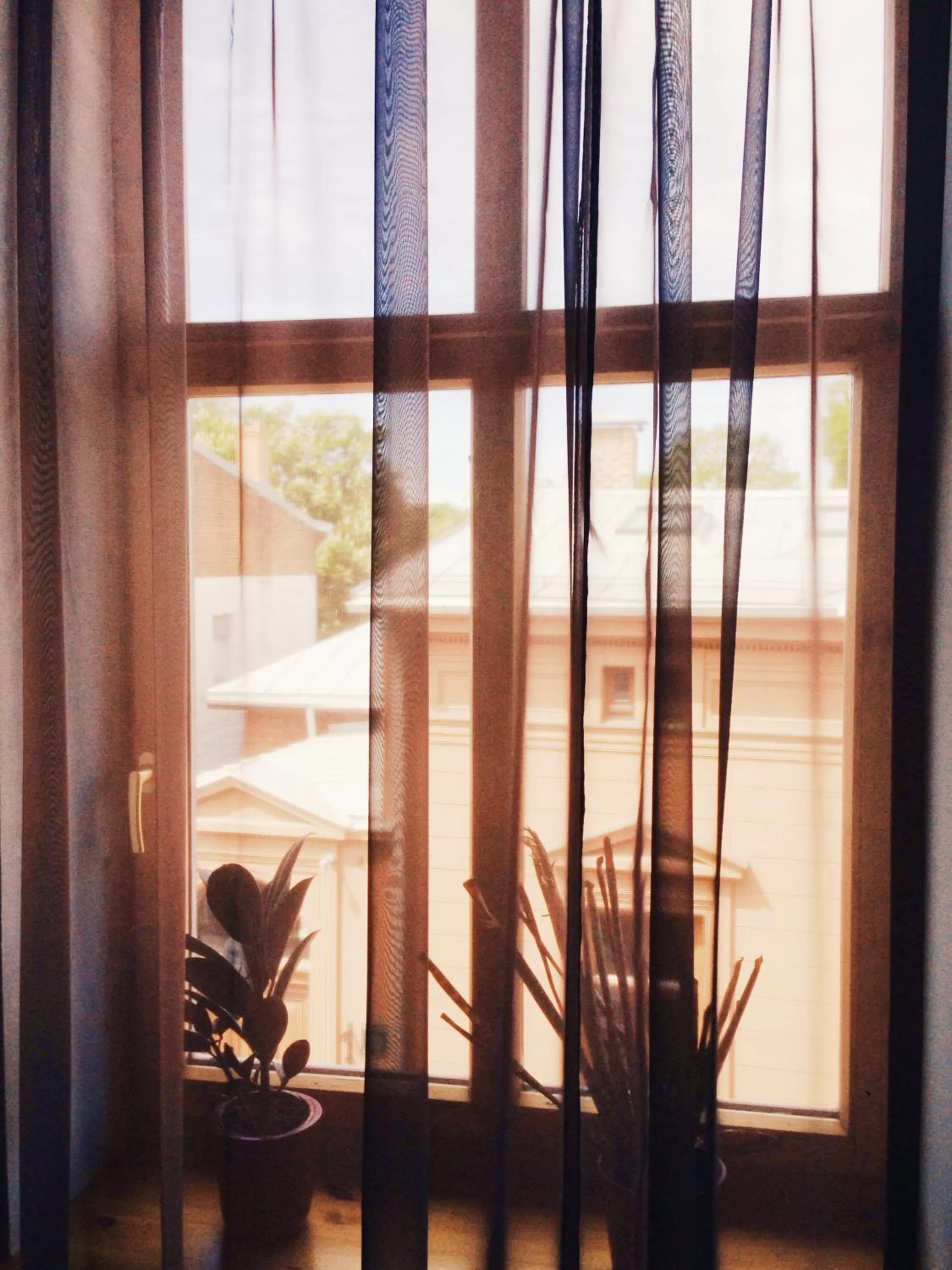 Street view in Hotel Vilhelmine