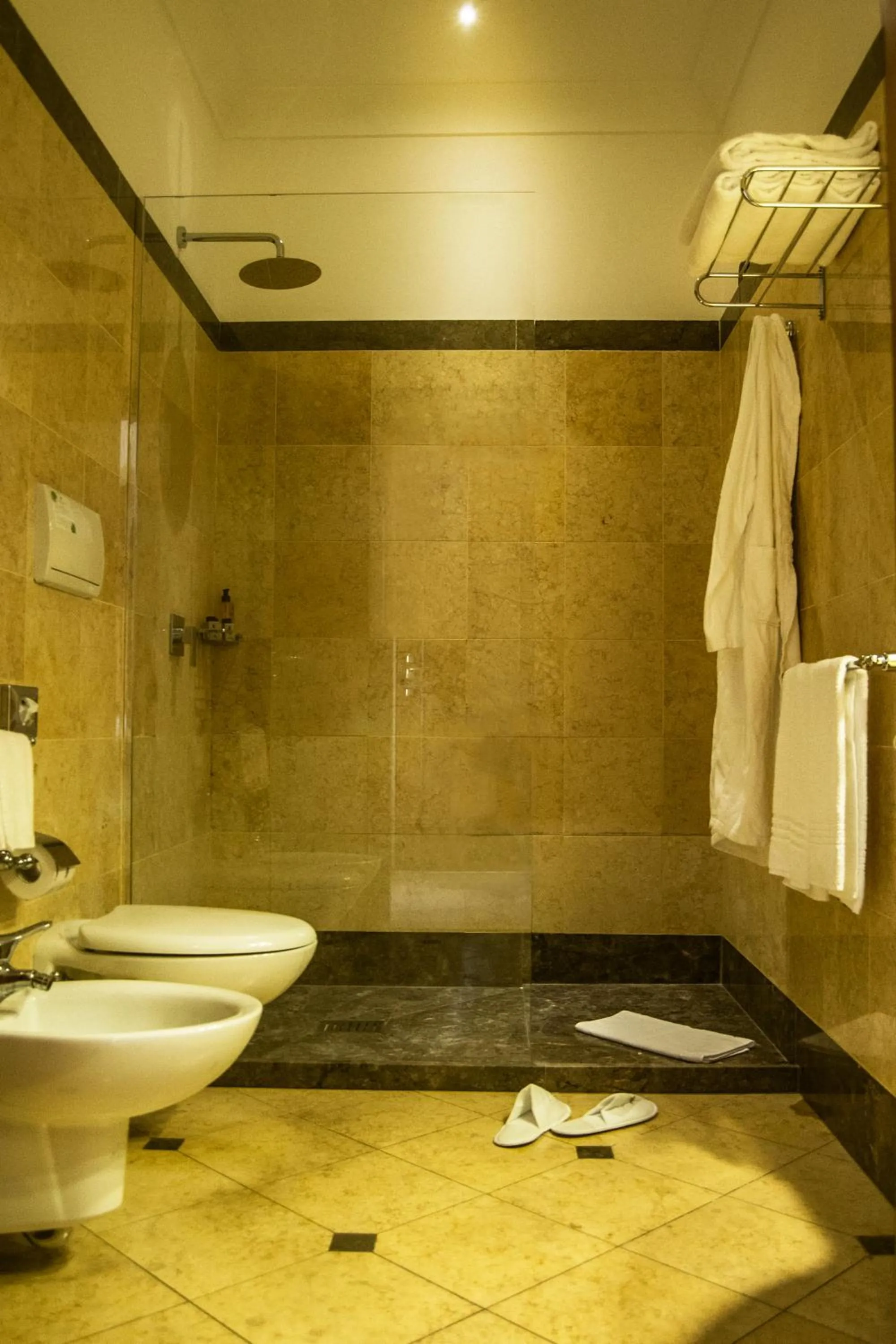 Shower in Hotel Federico II Central Palace