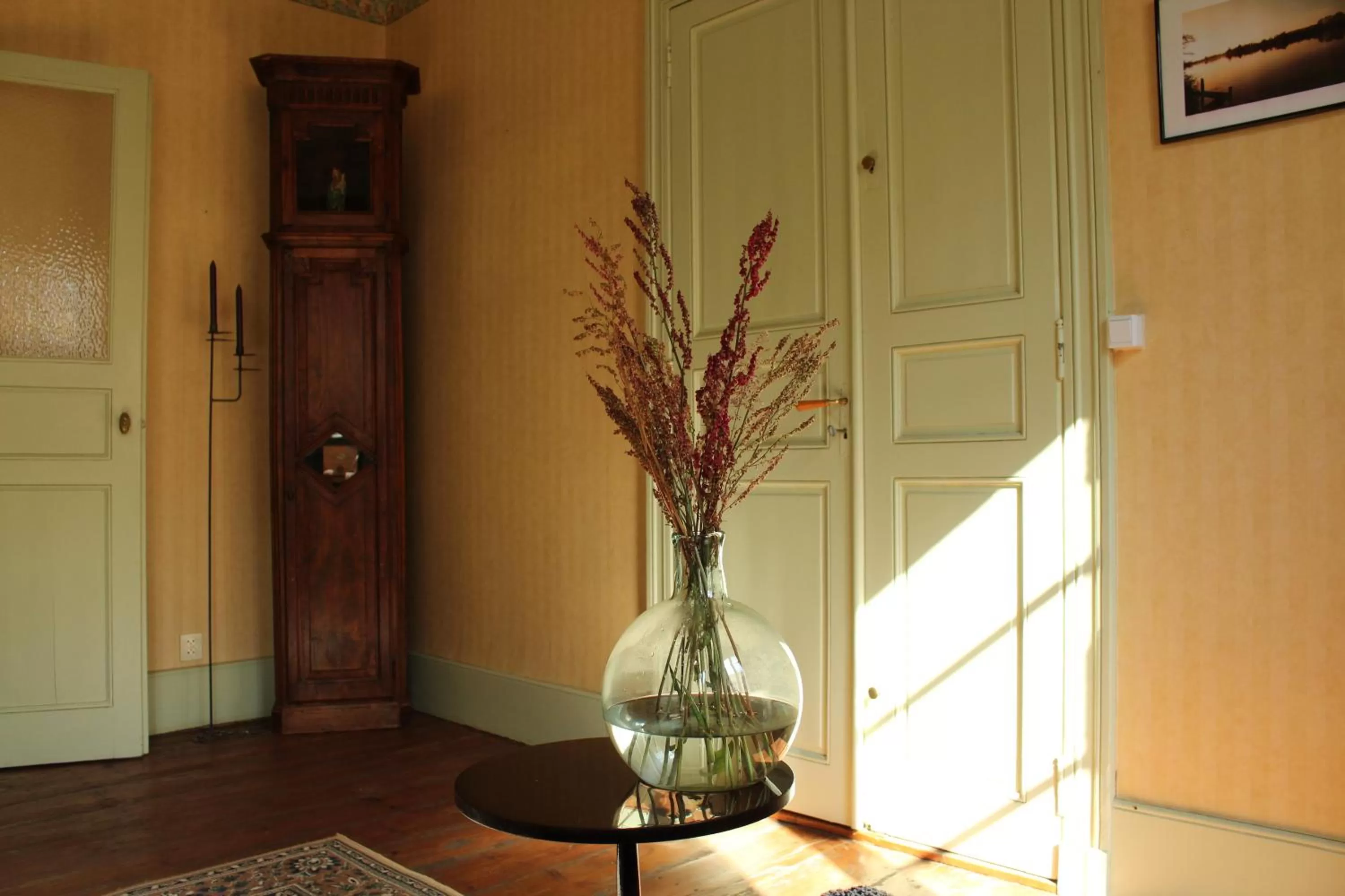 Living room in MaDamenFrance