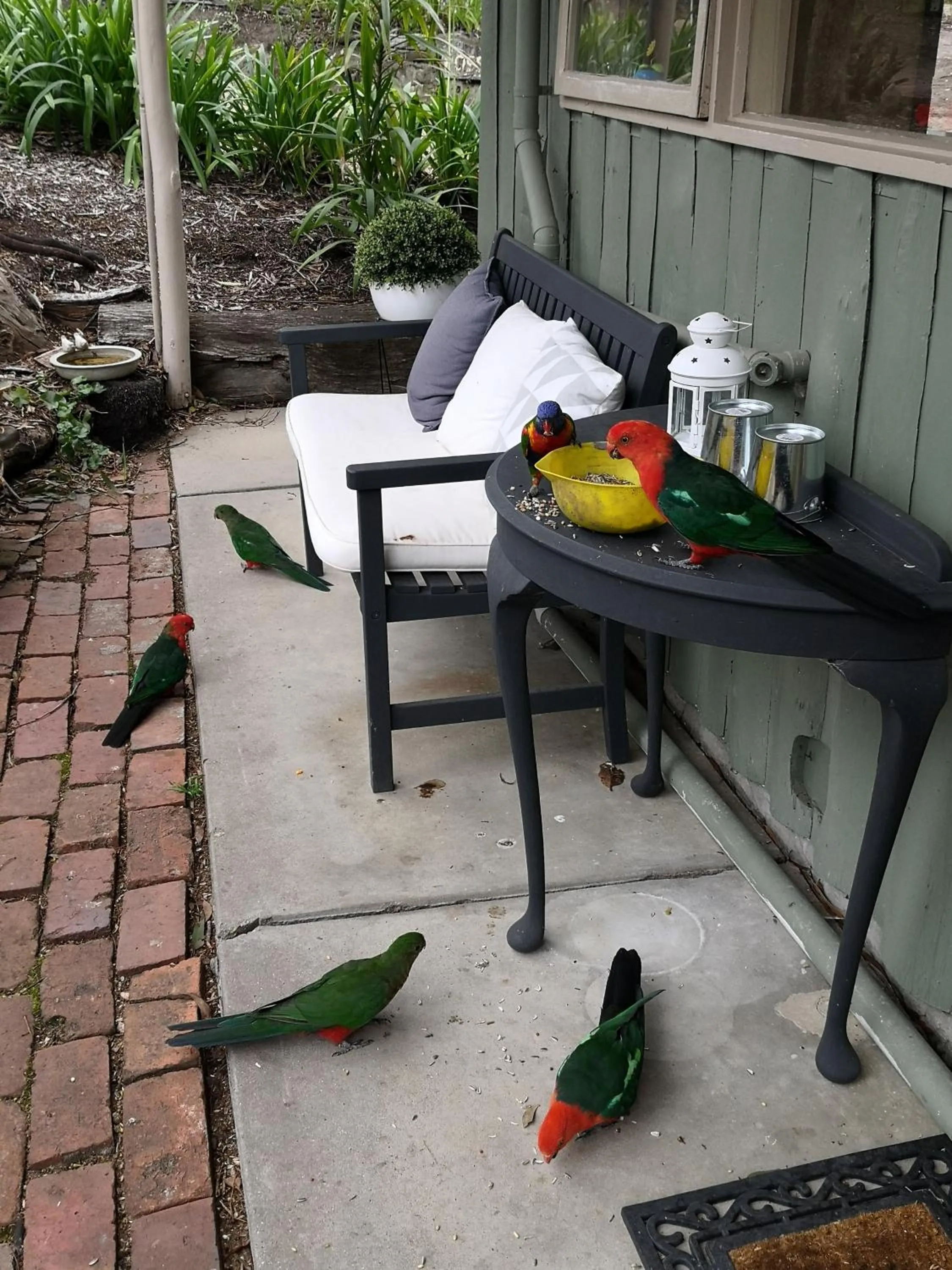 Kalimna Woods Cottages