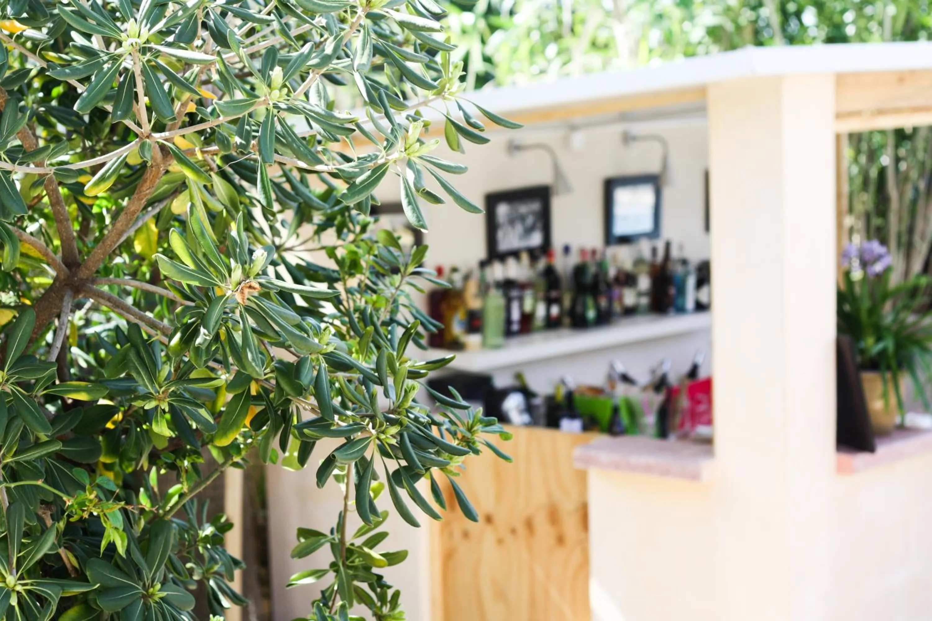 Lounge or bar in Hotel Ciutat Jardi