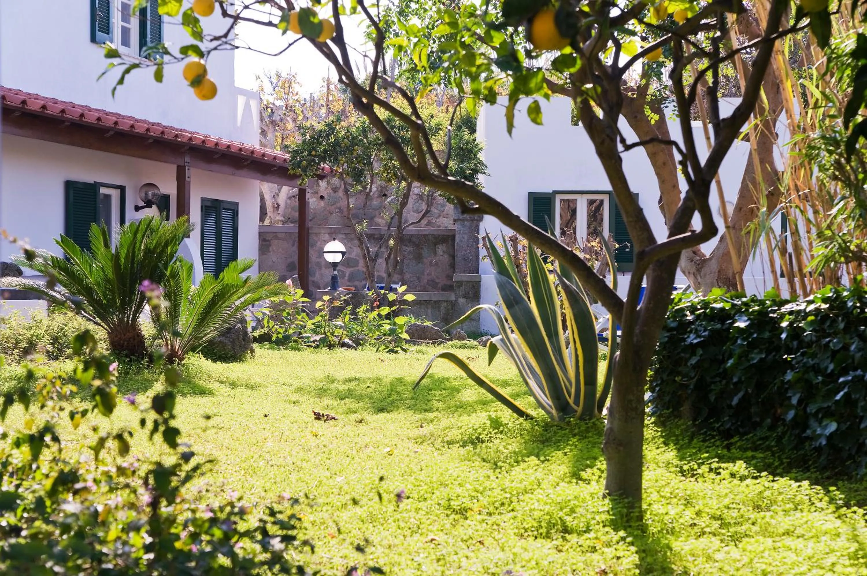 Facade/entrance in Park Hotel Terme Mediterraneo