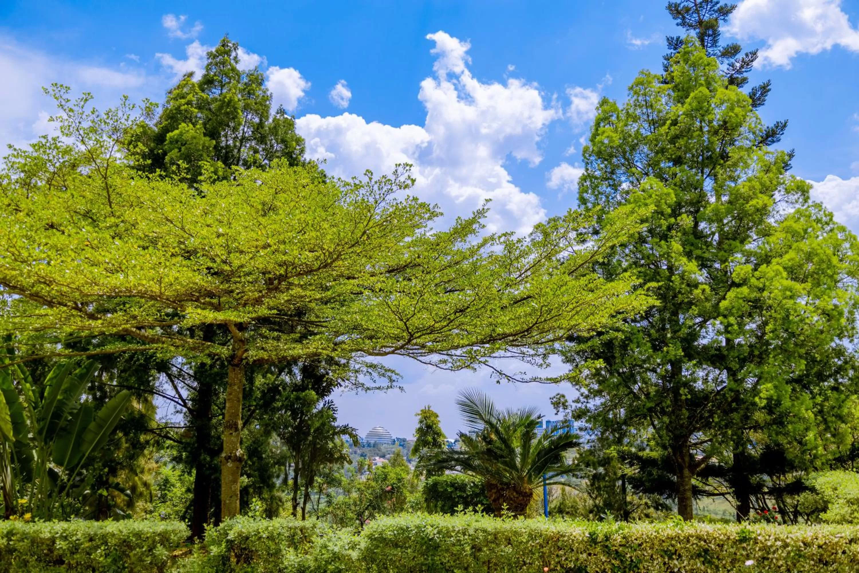 Natural landscape in Nature Kigali
