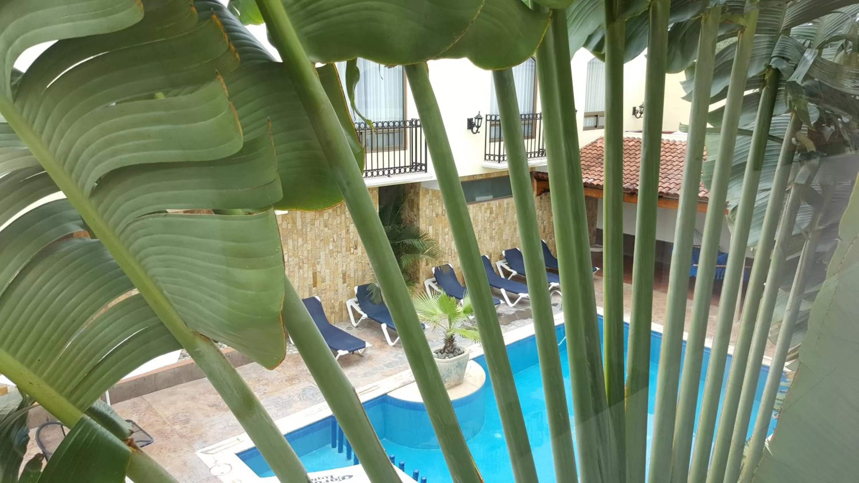 Pool view in Hotel Dubrovnik