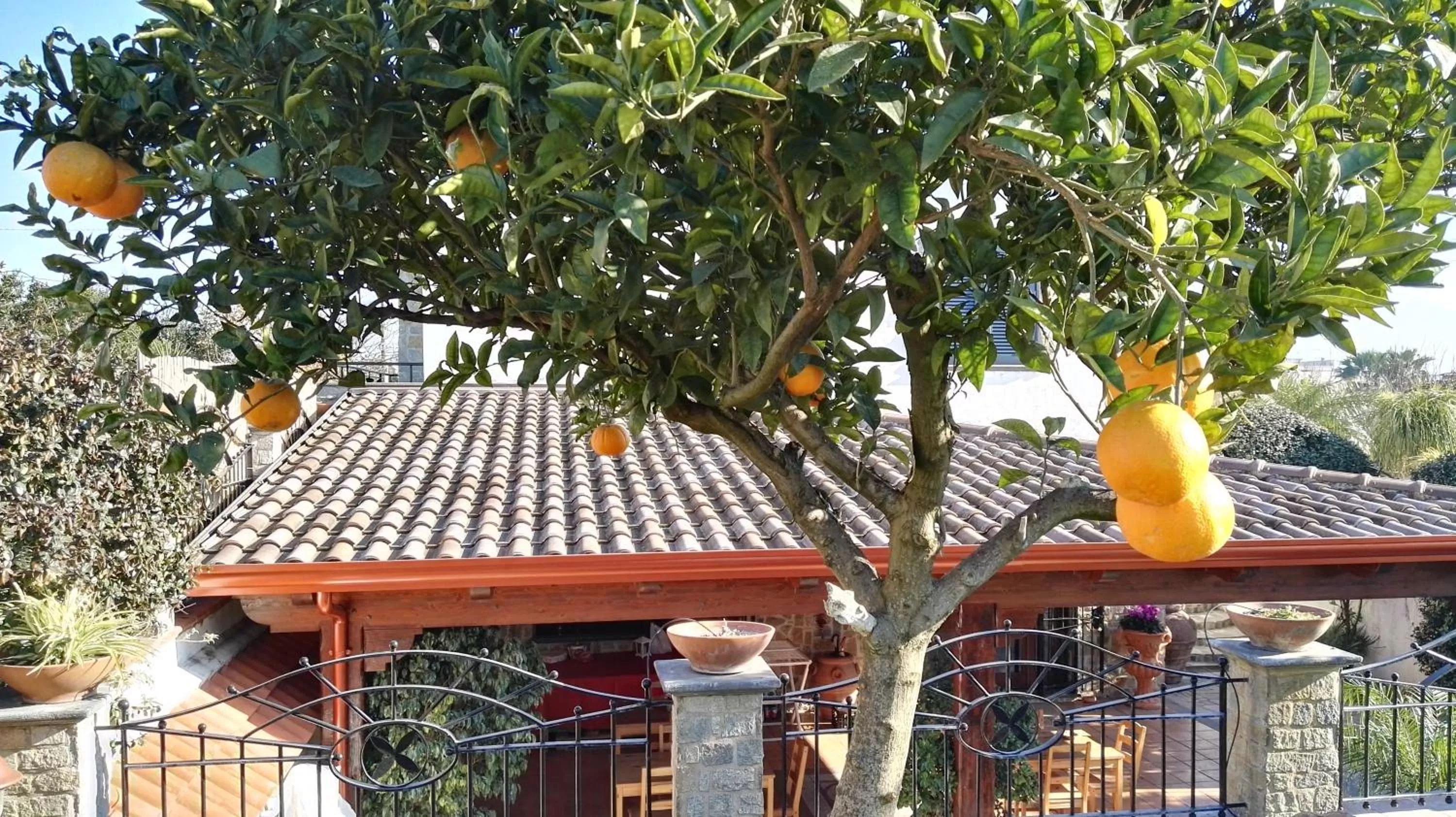 Garden, Drinks in B&B Villa Lura Pompei