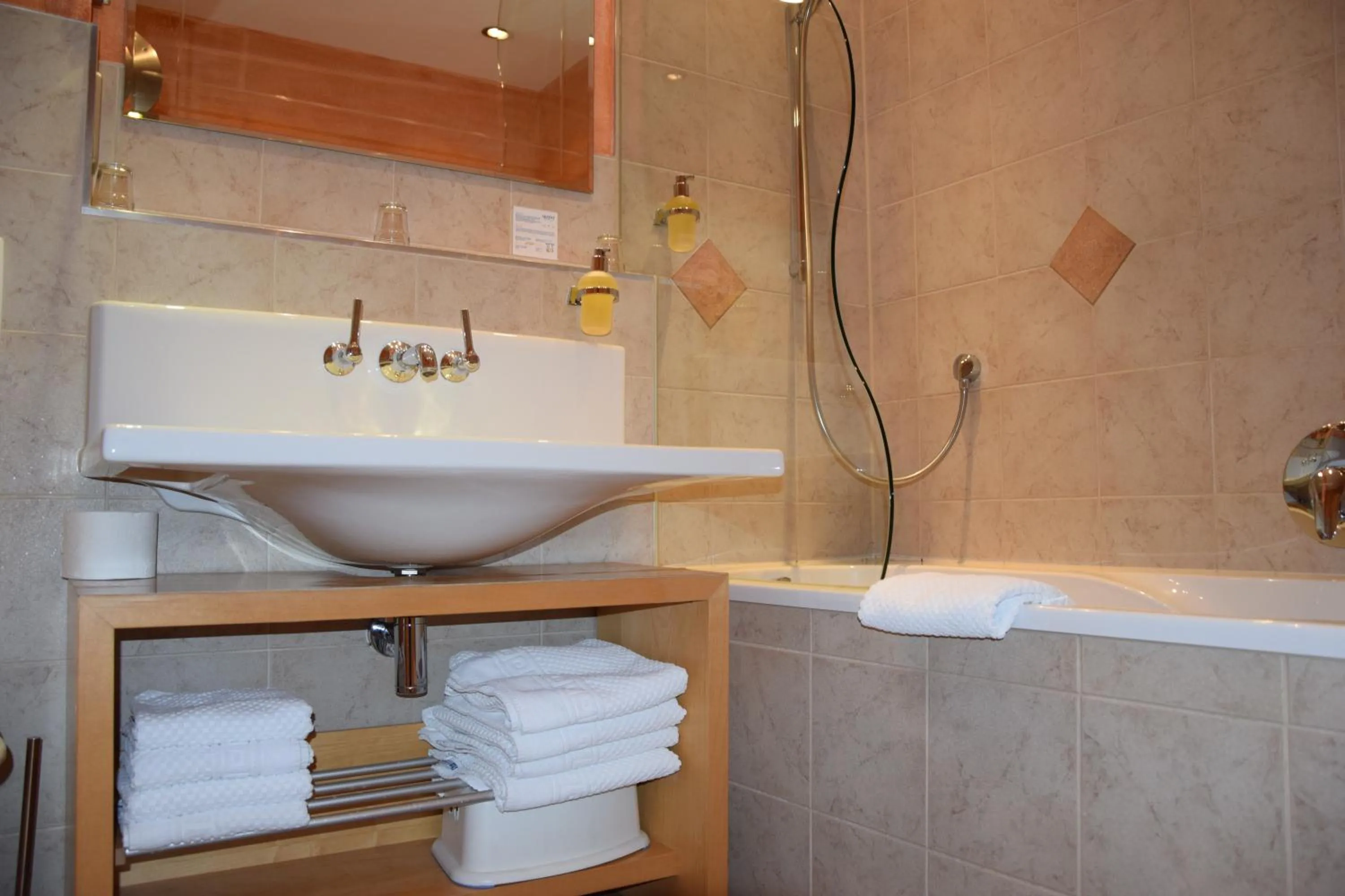 Shower in Hotel Roter Löwe