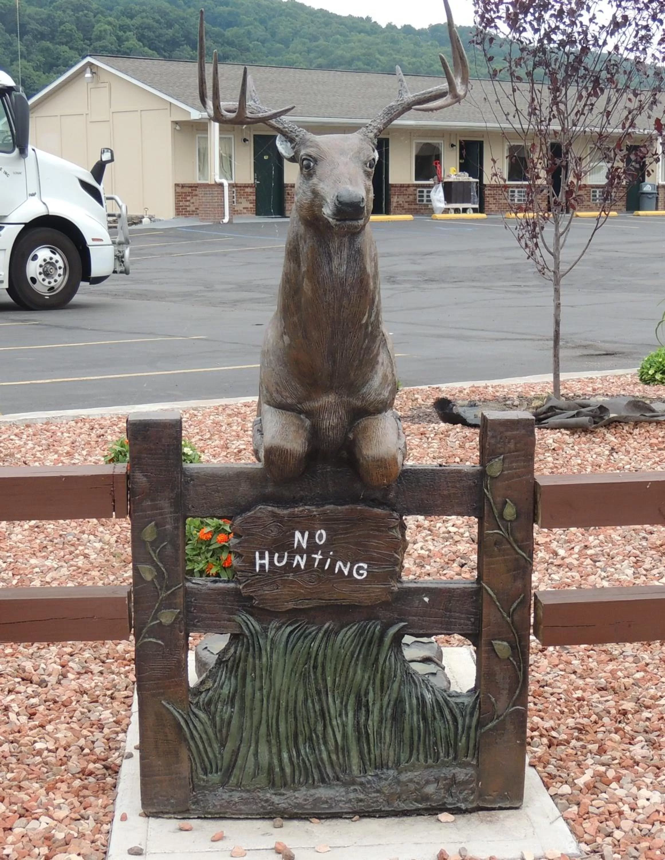 Animals in Super 8 by Wyndham Mifflinville Near Bloomsburg