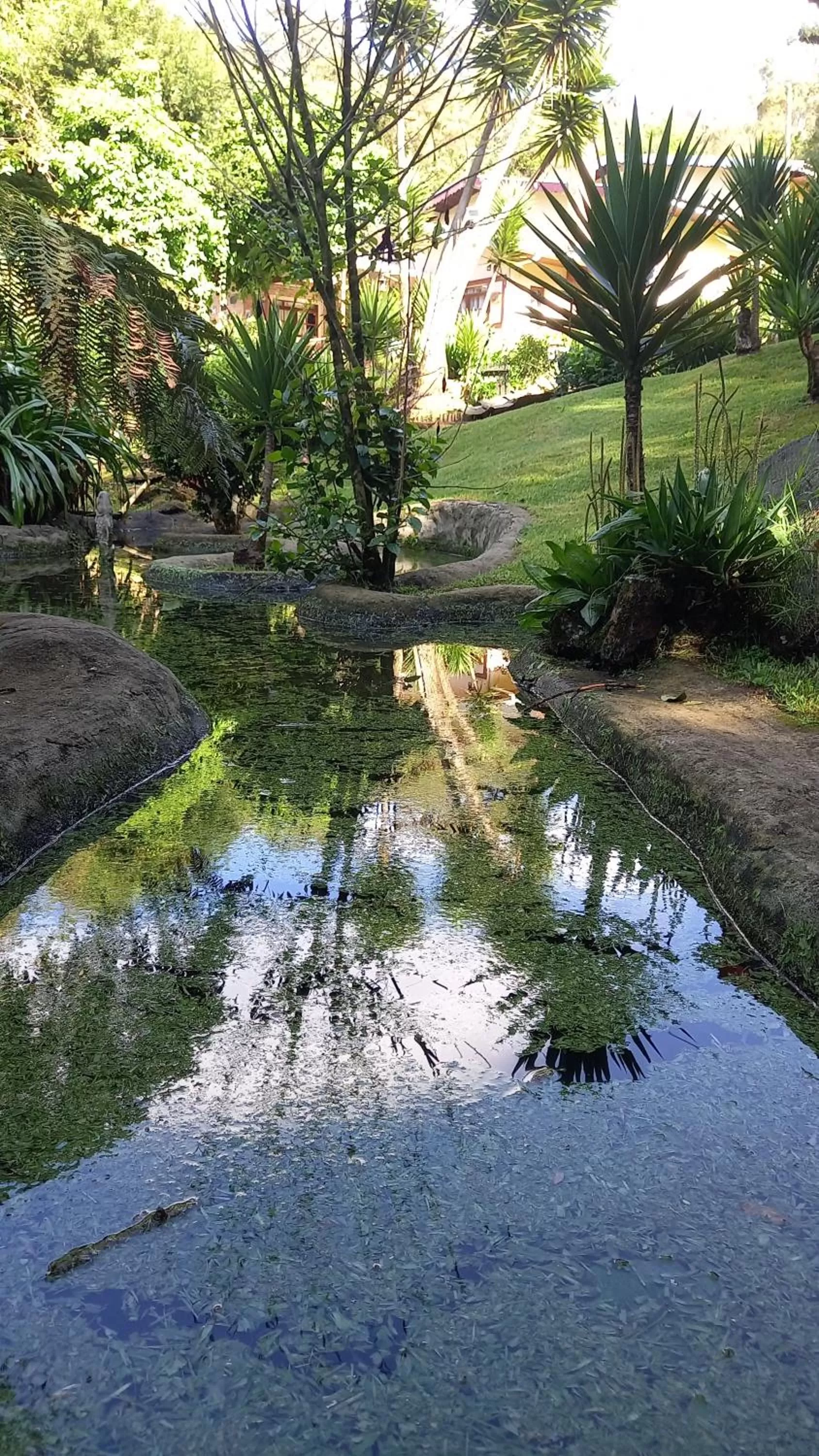Garden view in Rancho da Raposa em Campos do Jordão