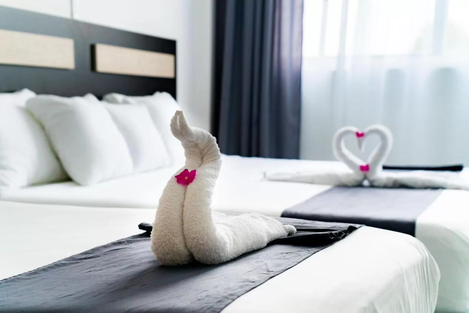 Bed in Patty House Galapagos