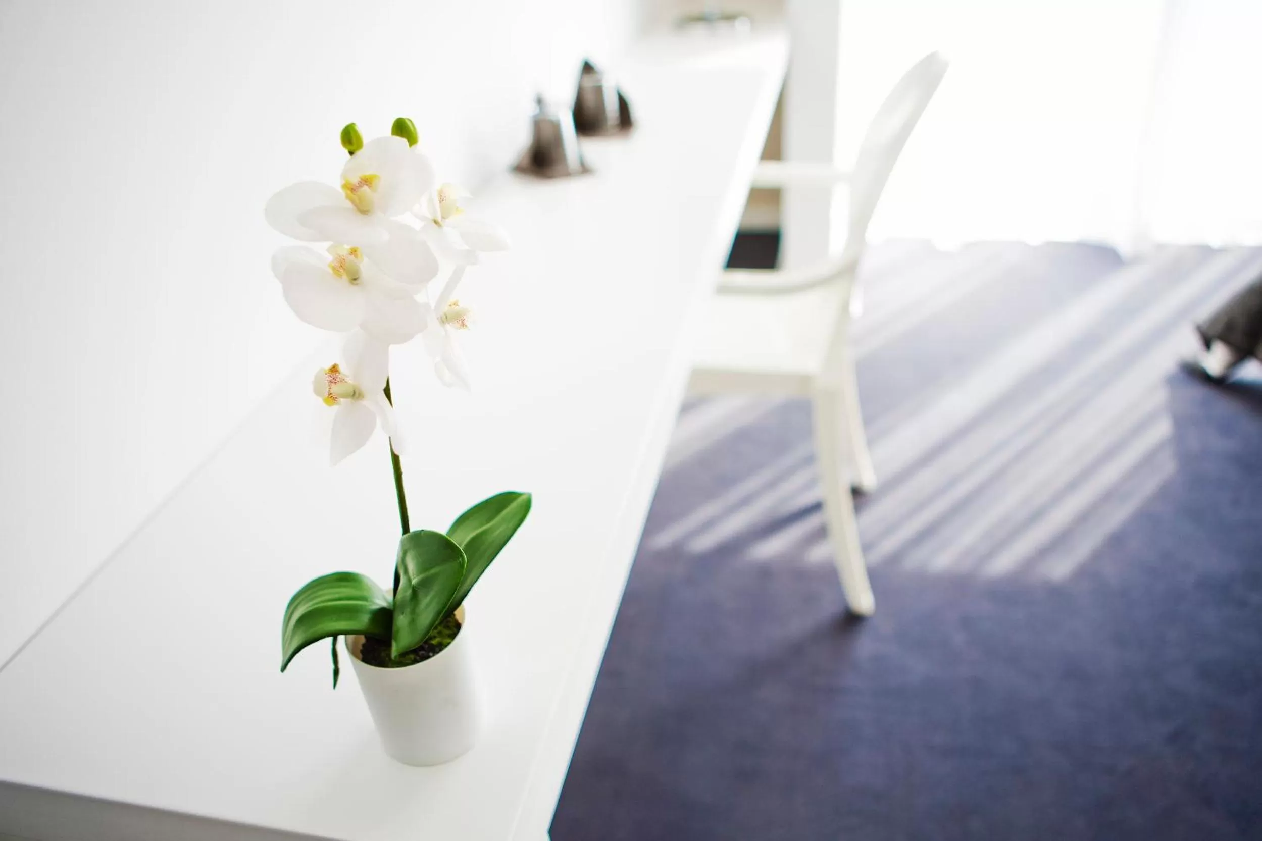 Decorative detail in Real Abadia, Congress & Spa Hotel