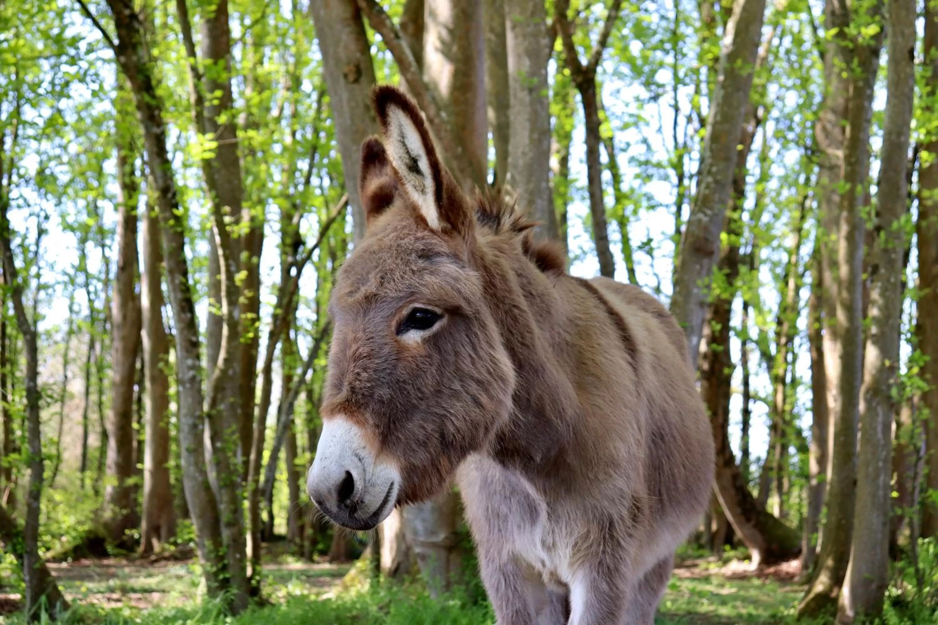 Maison D'hôtes Sainte-Marie