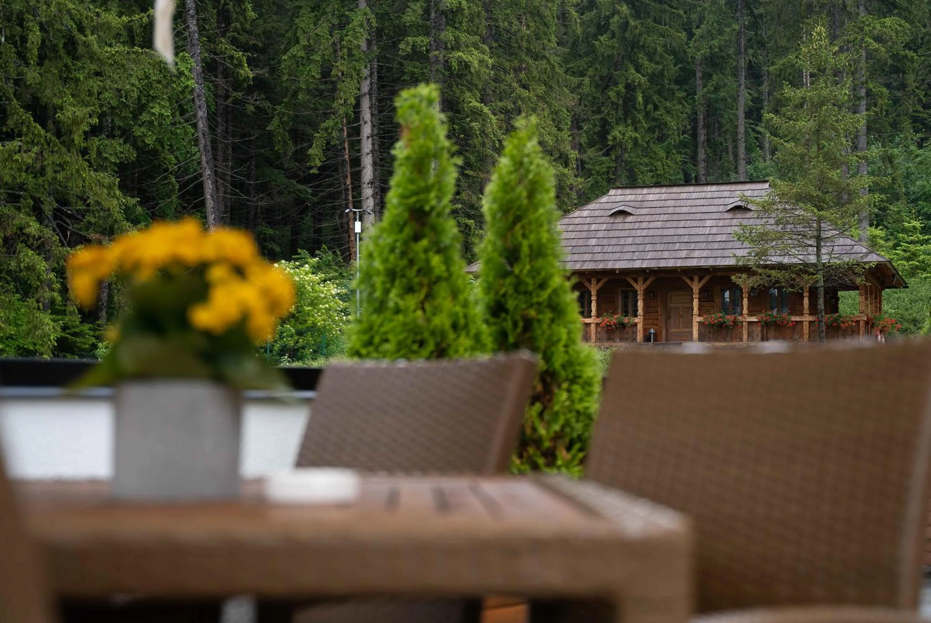 Restaurant/places to eat in Teleferic Grand Hotel