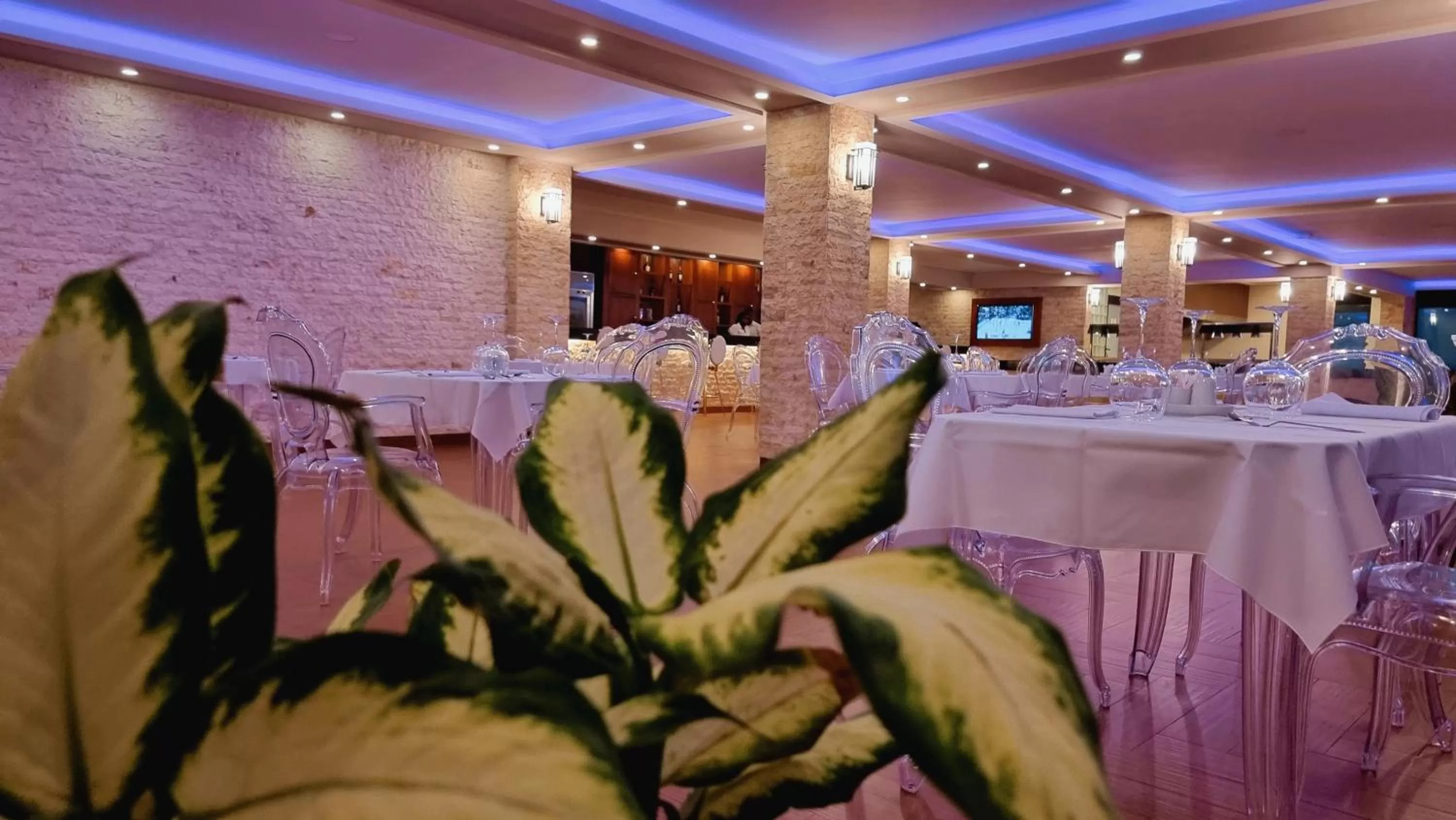 Restaurant/places to eat in El Doria Hotel