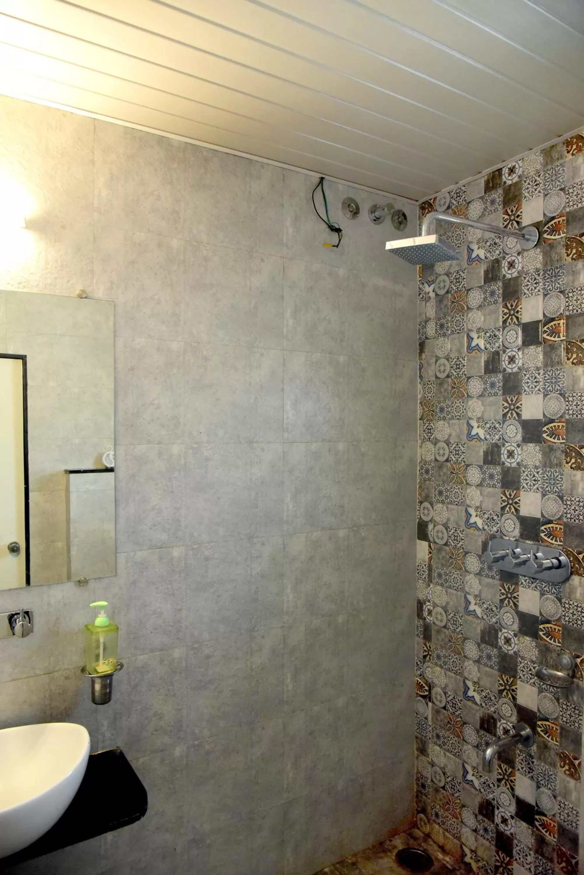 Bathroom in Hotel Pushpak