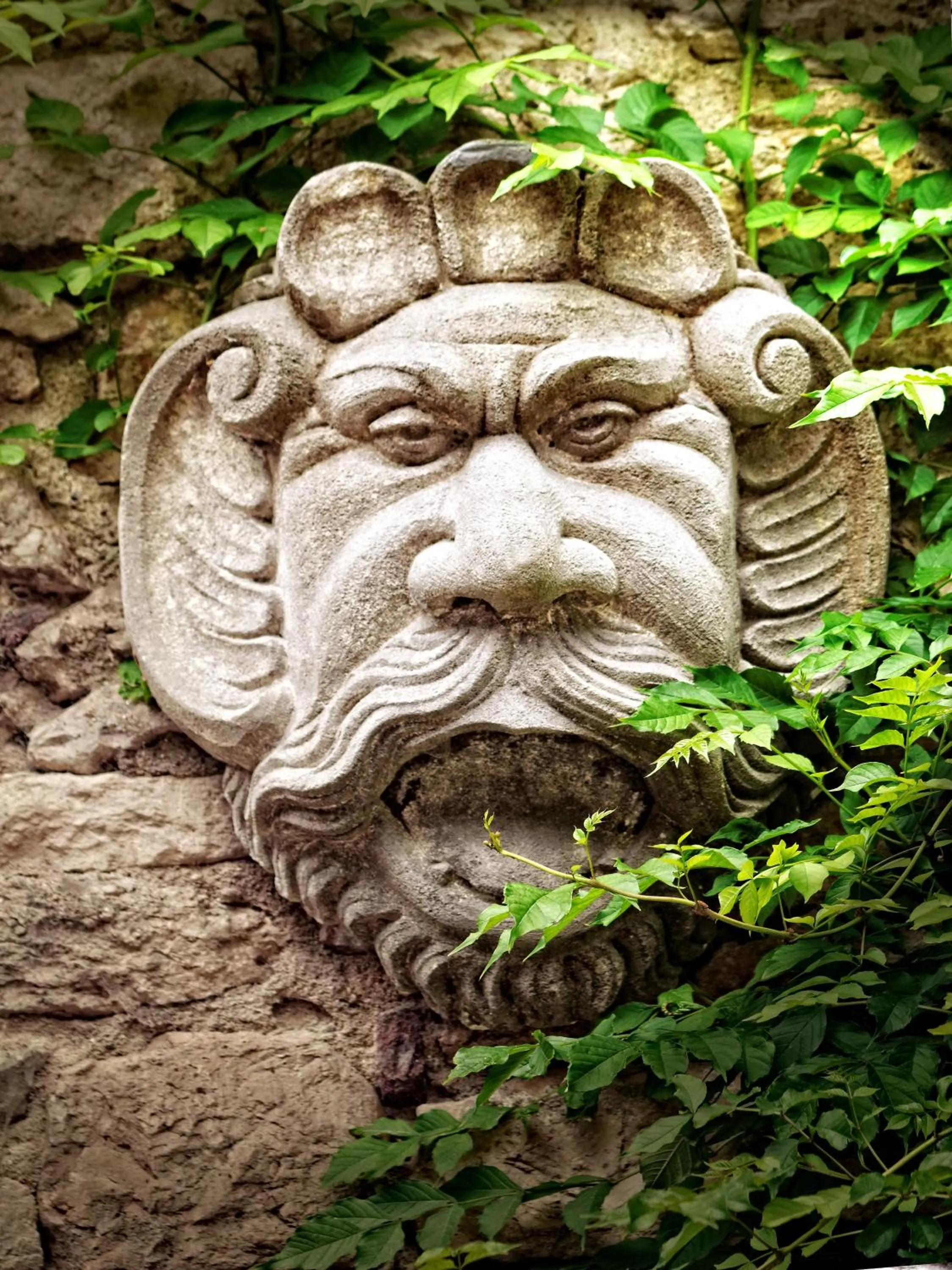 Garden in Grand Hôtel de l'Abbaye