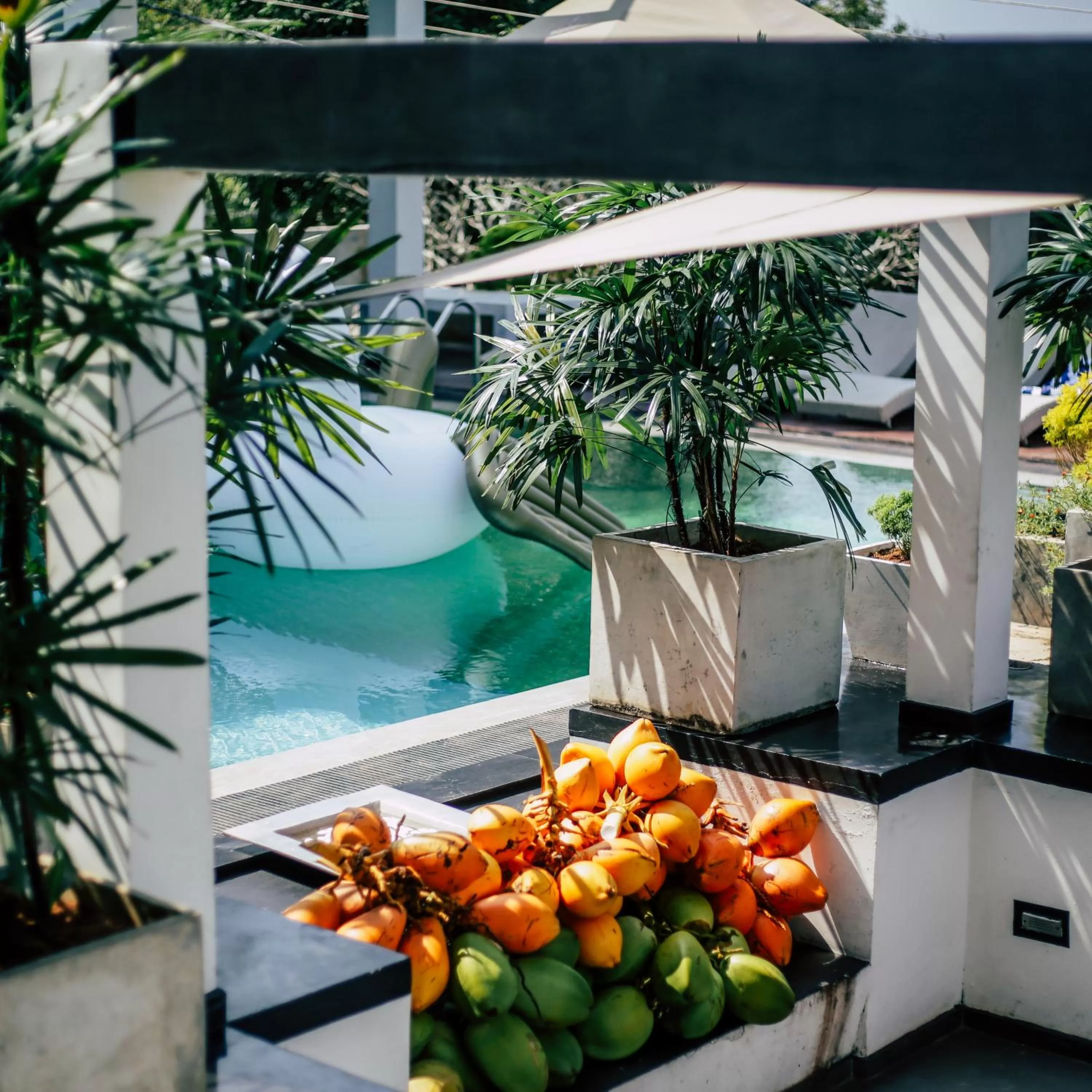 Garden in Levels Unawatuna