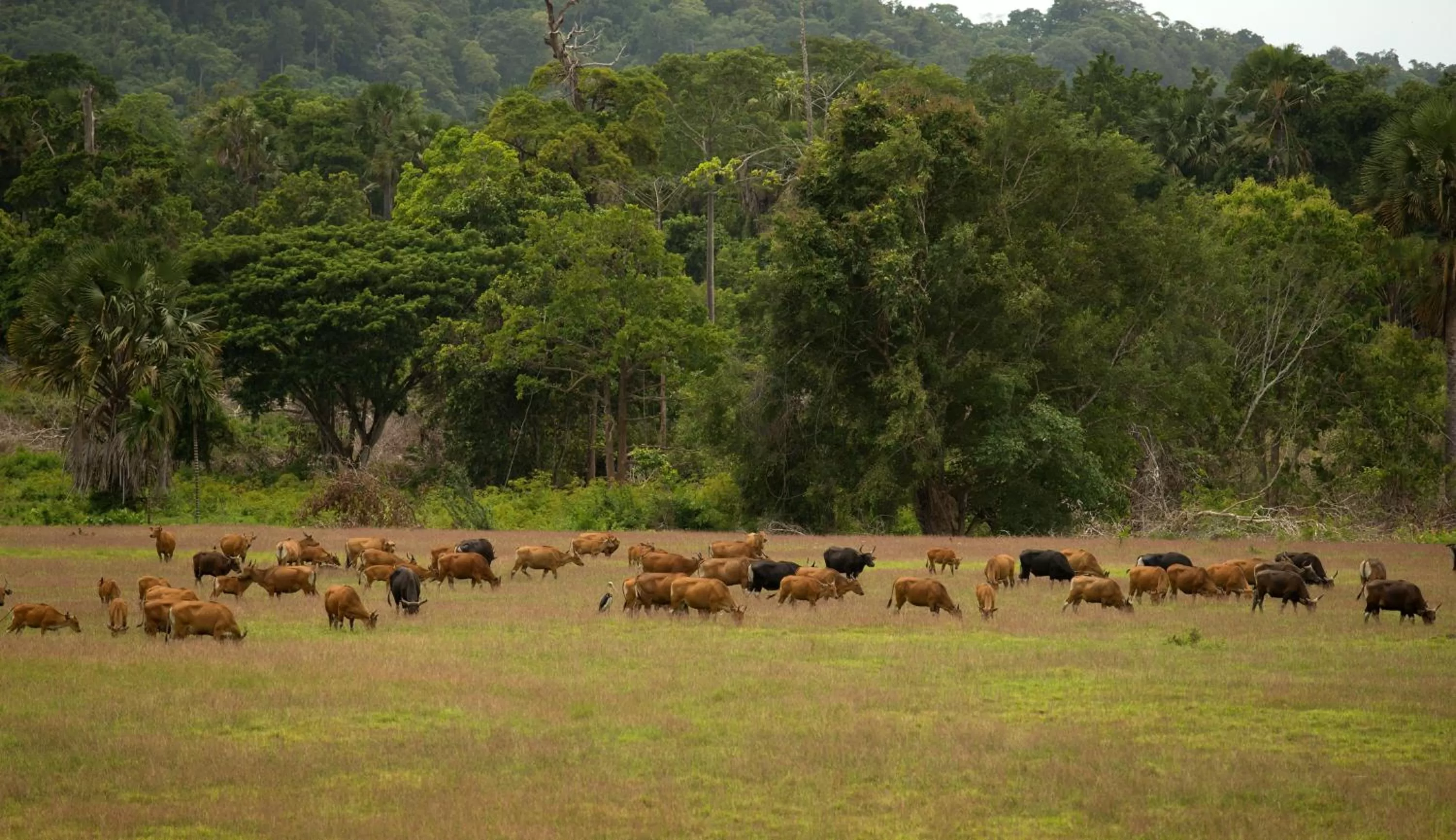 Other in Ketapang Indah Hotel