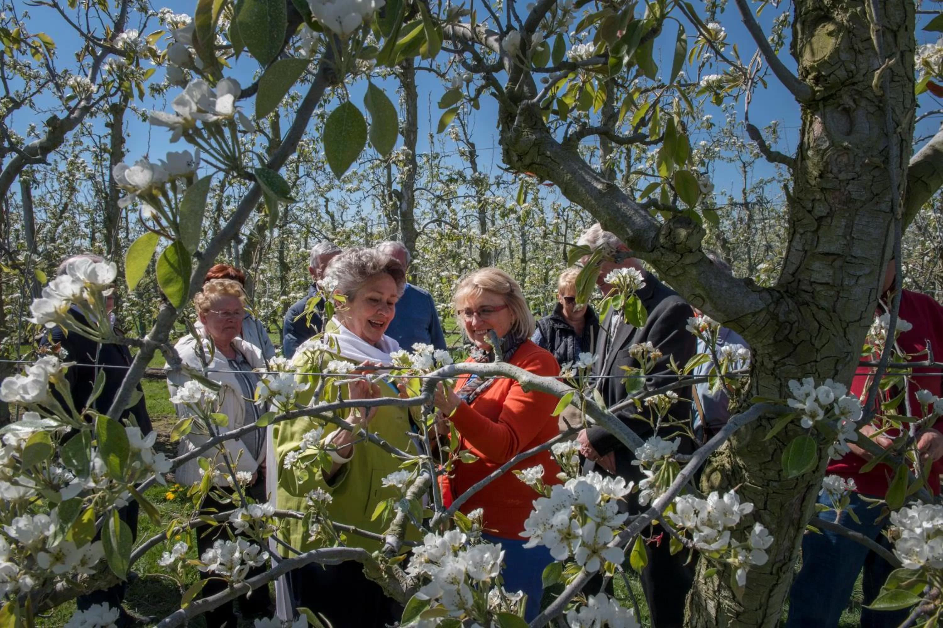 Off site in De Pastorie