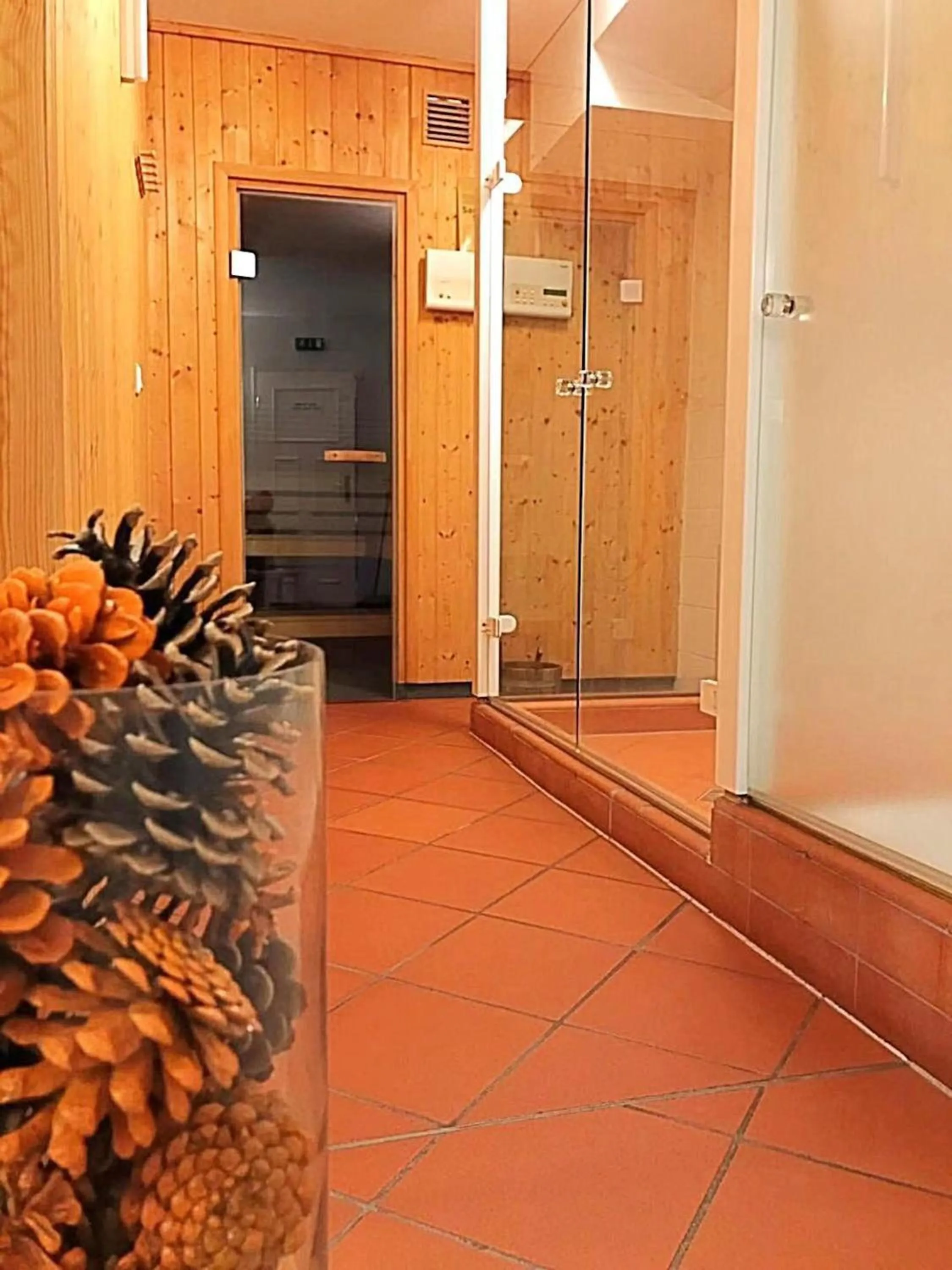 Sauna in Hotel Villa Viktoria Luise