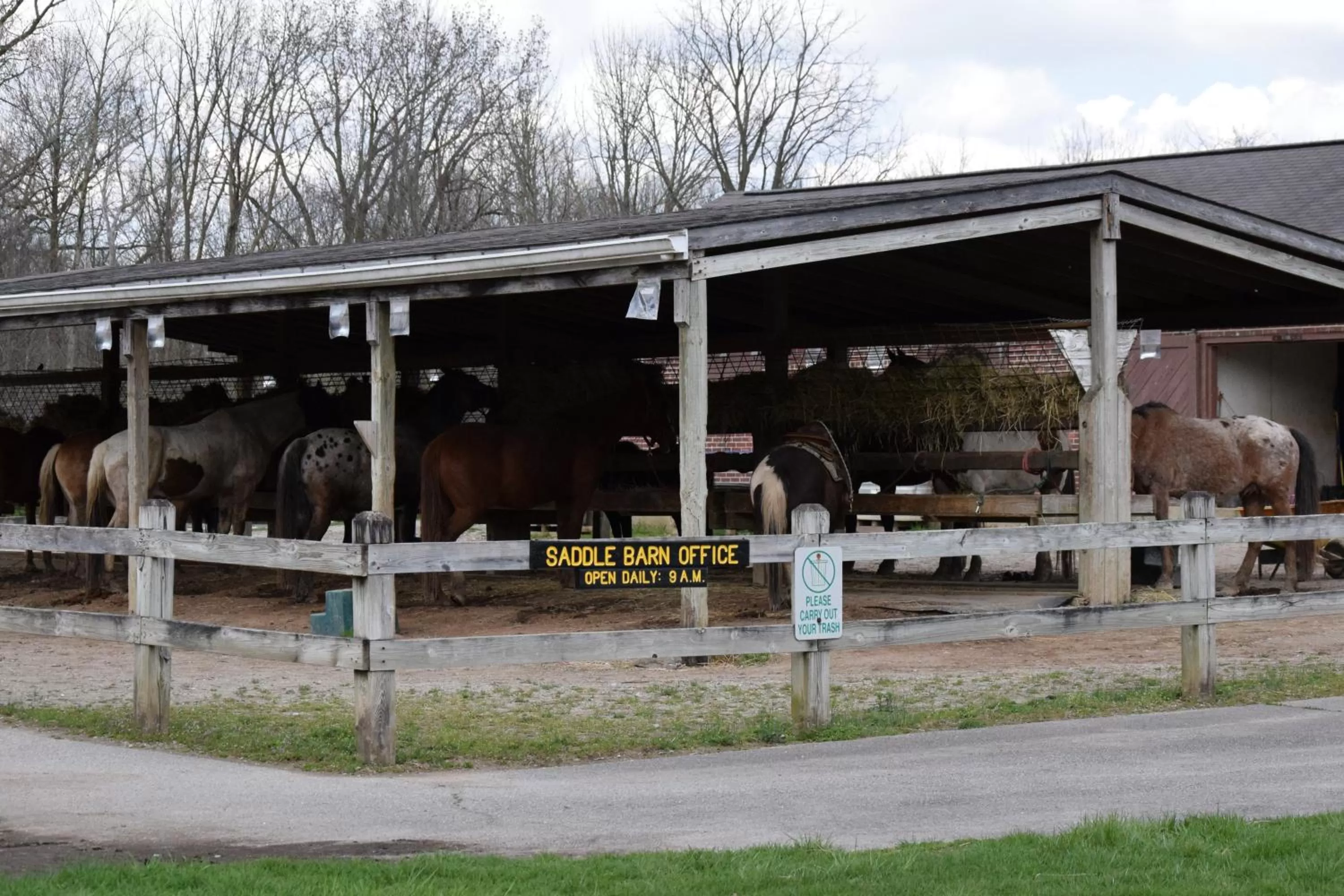 Horse-riding in Fort Harrison State Park Inn