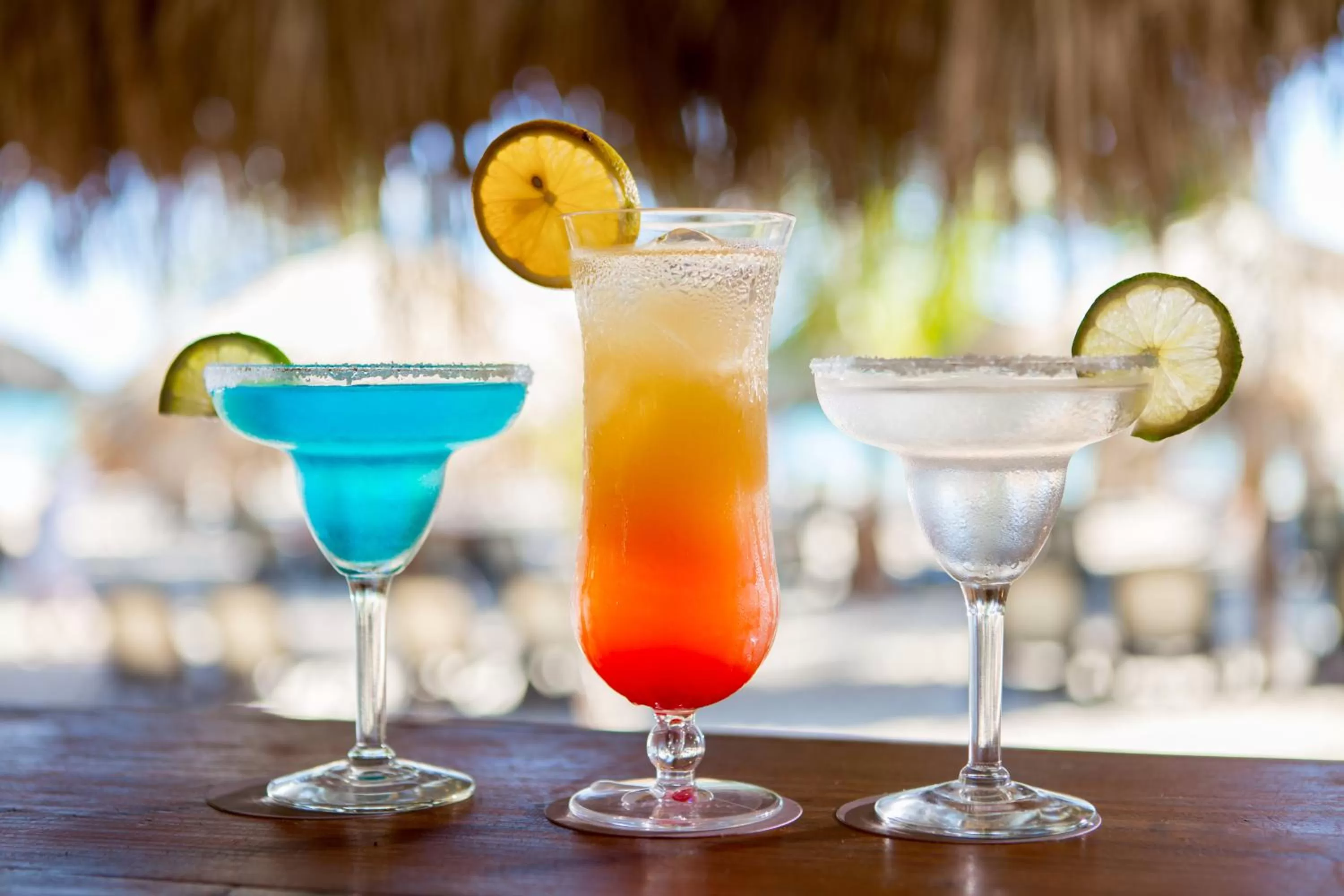Lounge or bar in Impressive Premium Punta Cana - All Inclusive