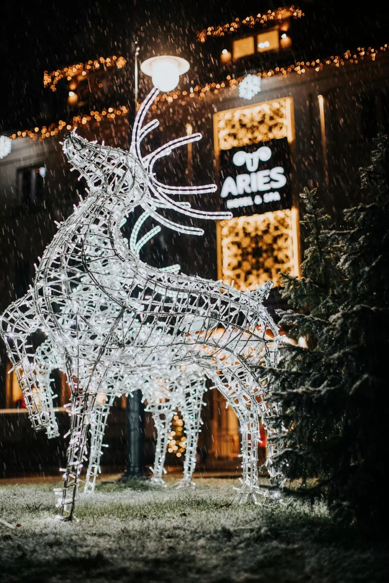 Night in Aries Hotel & SPA Wisła