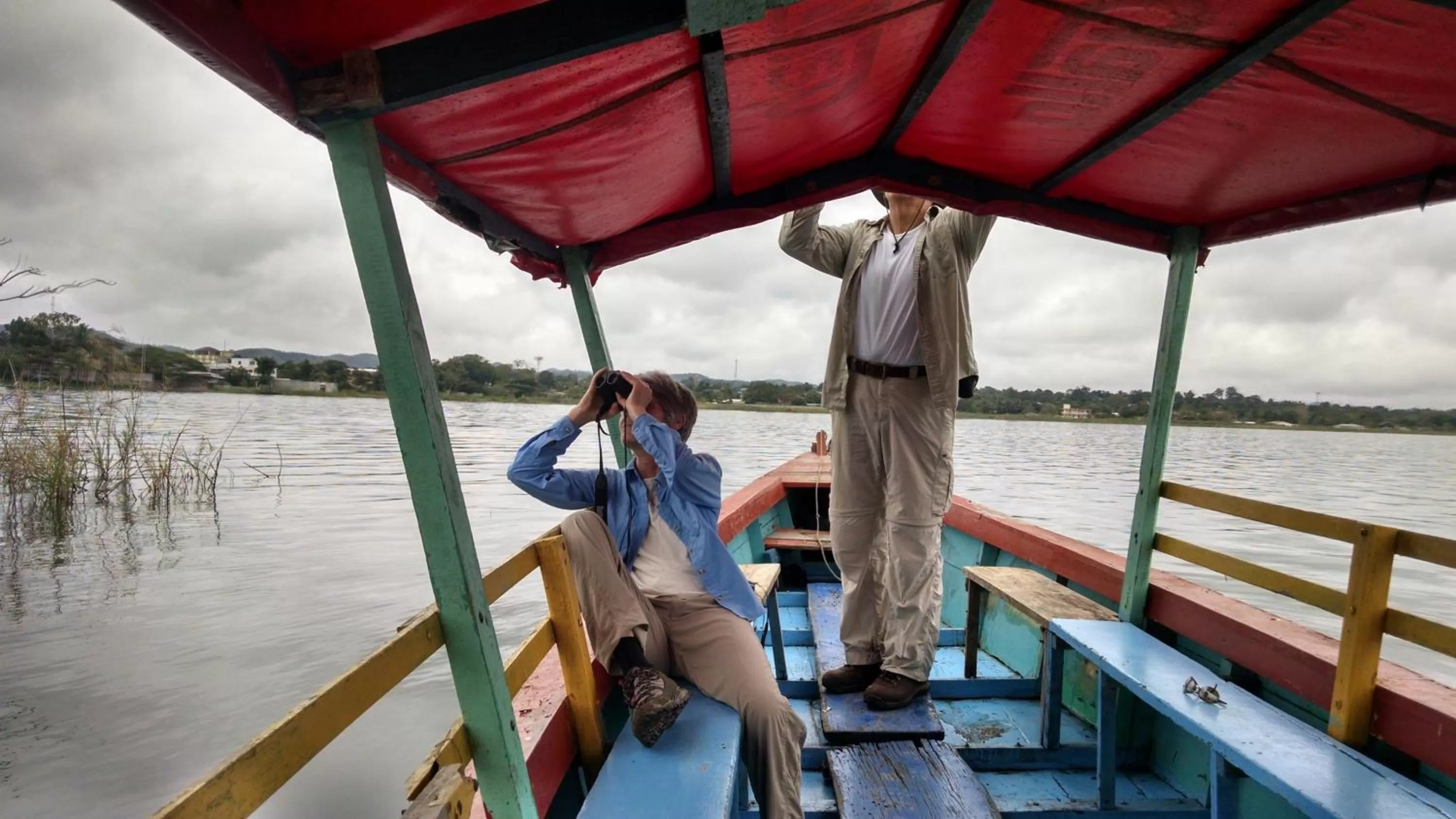 View (from property/room) in Zapote Tree Inn