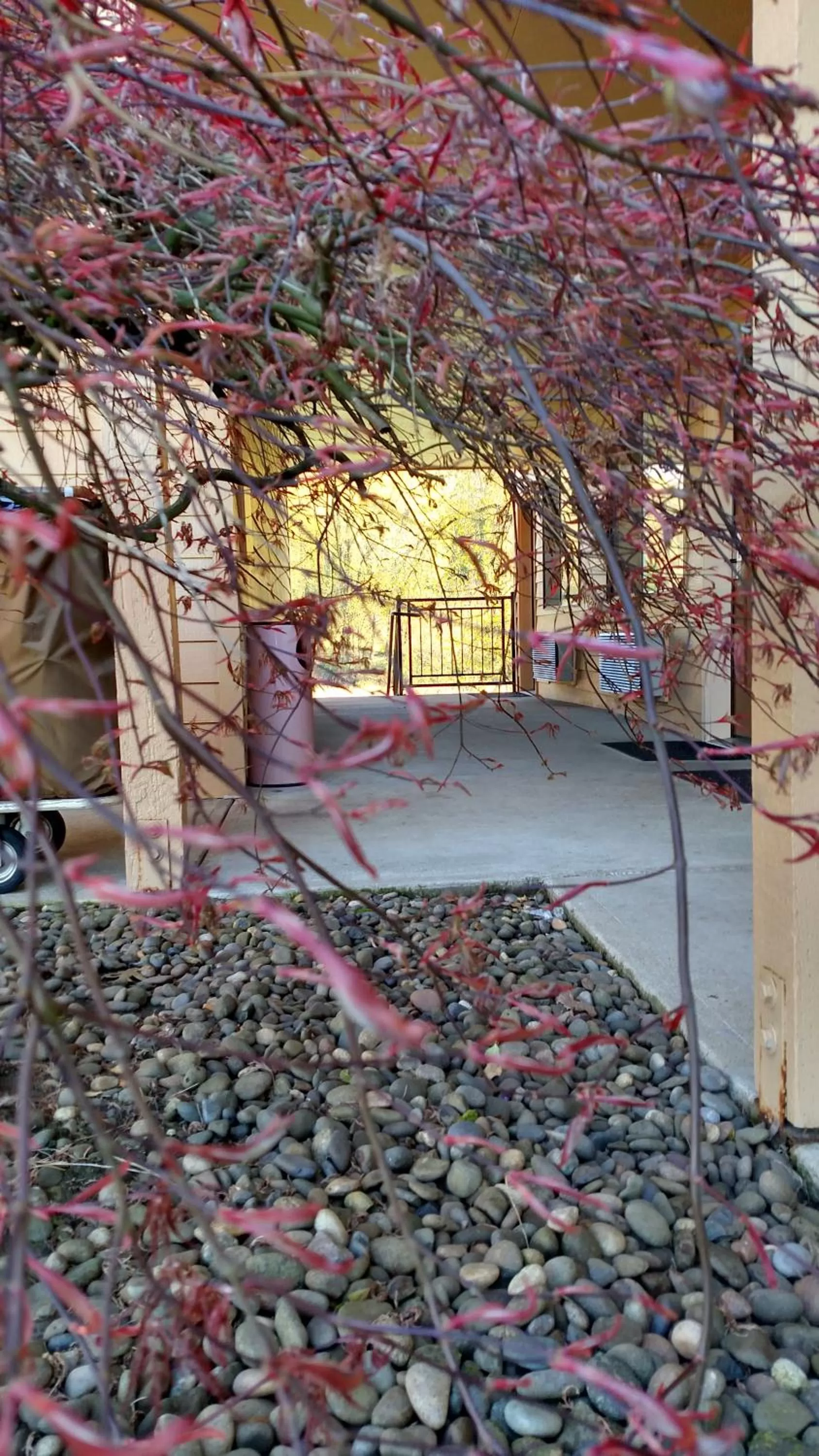 Other in Lewis River Inn