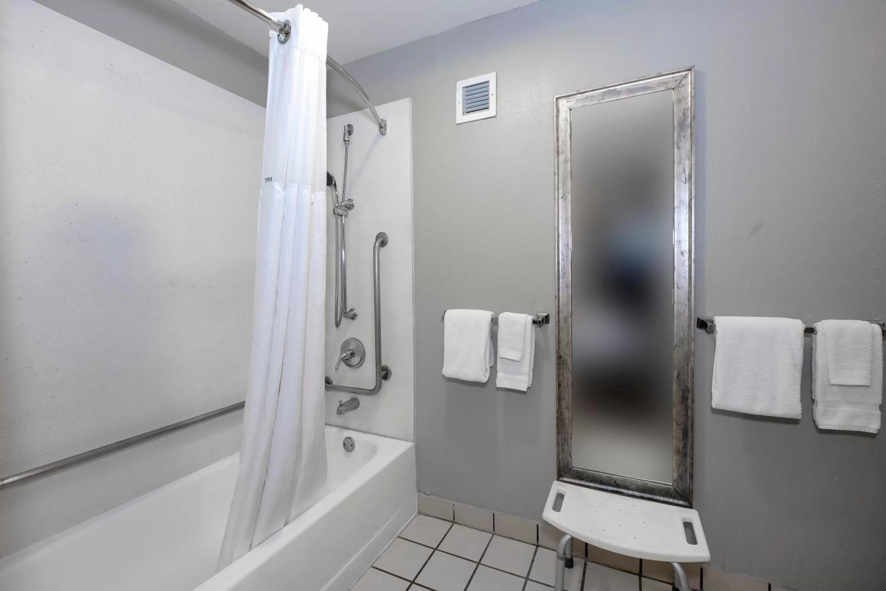 Other, Bathroom in Red Roof Inn PLUS Orlando-Convention Center- Int'l Dr