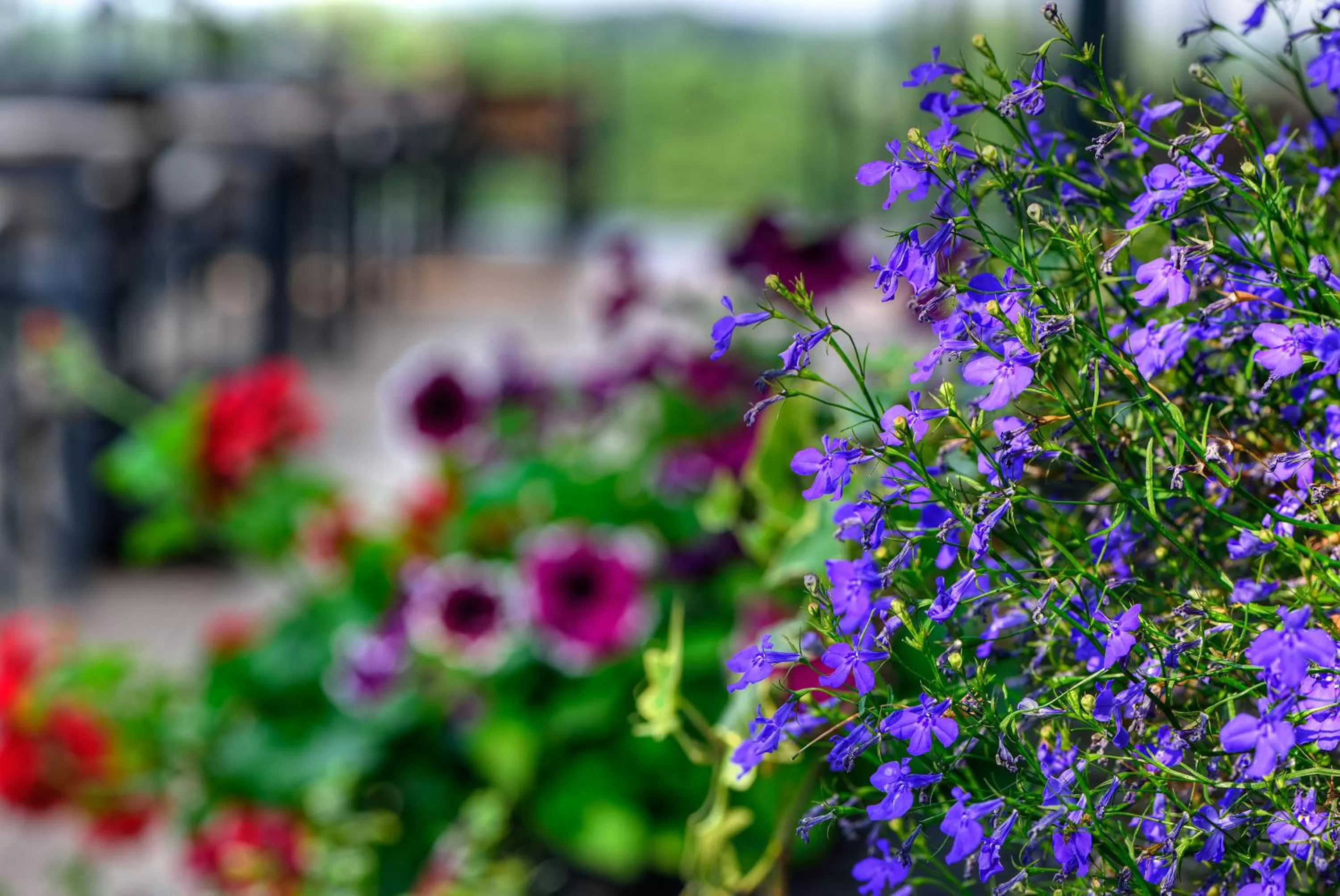Facade/entrance in ARTHOTEL Kiebitzberg