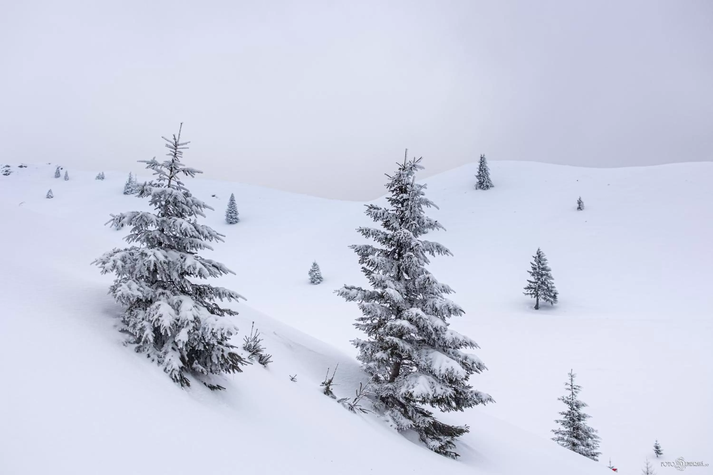 Mountain view, Winter in Hotel Belmont