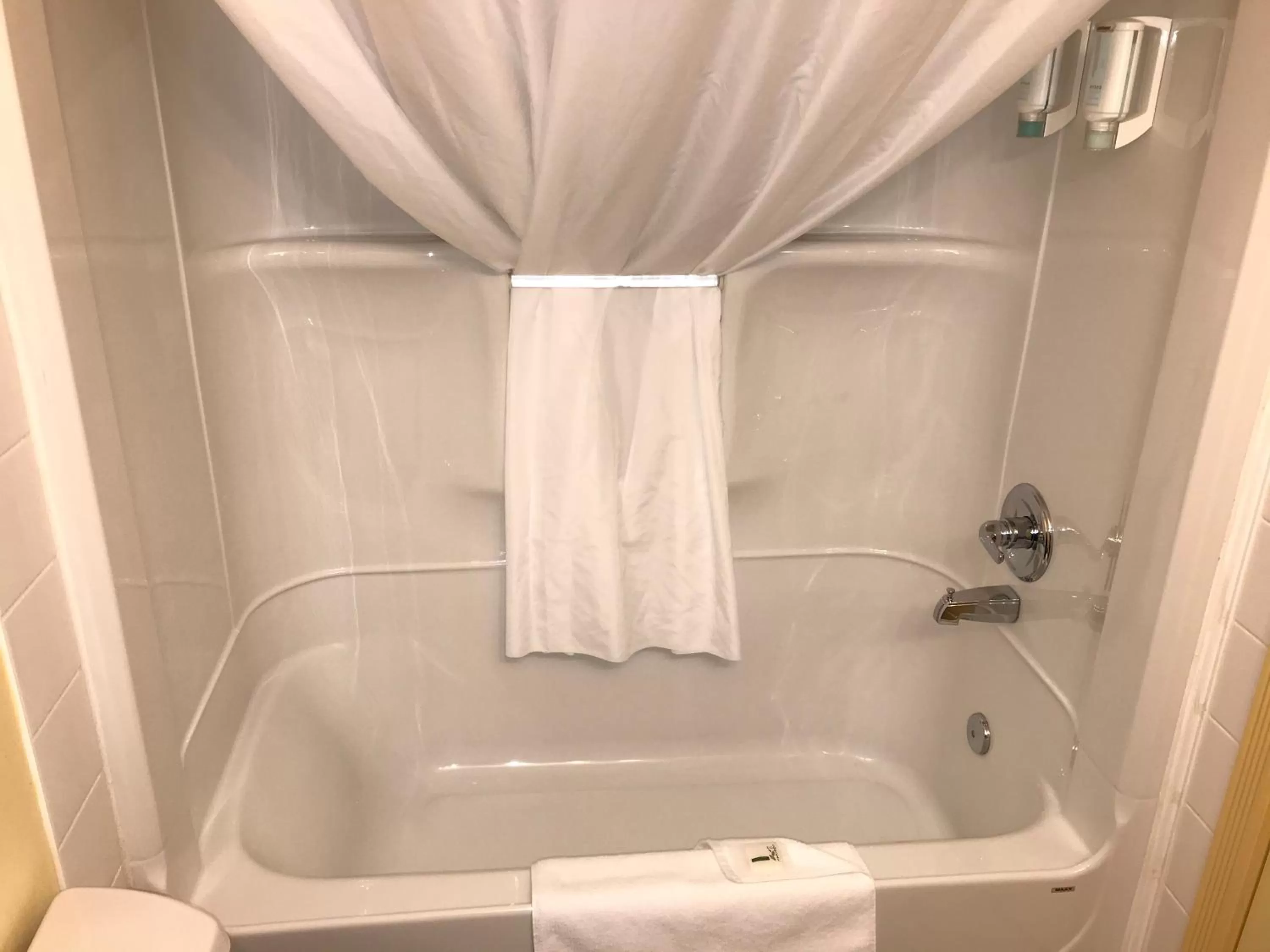 Bath in Quality Inn & Suites