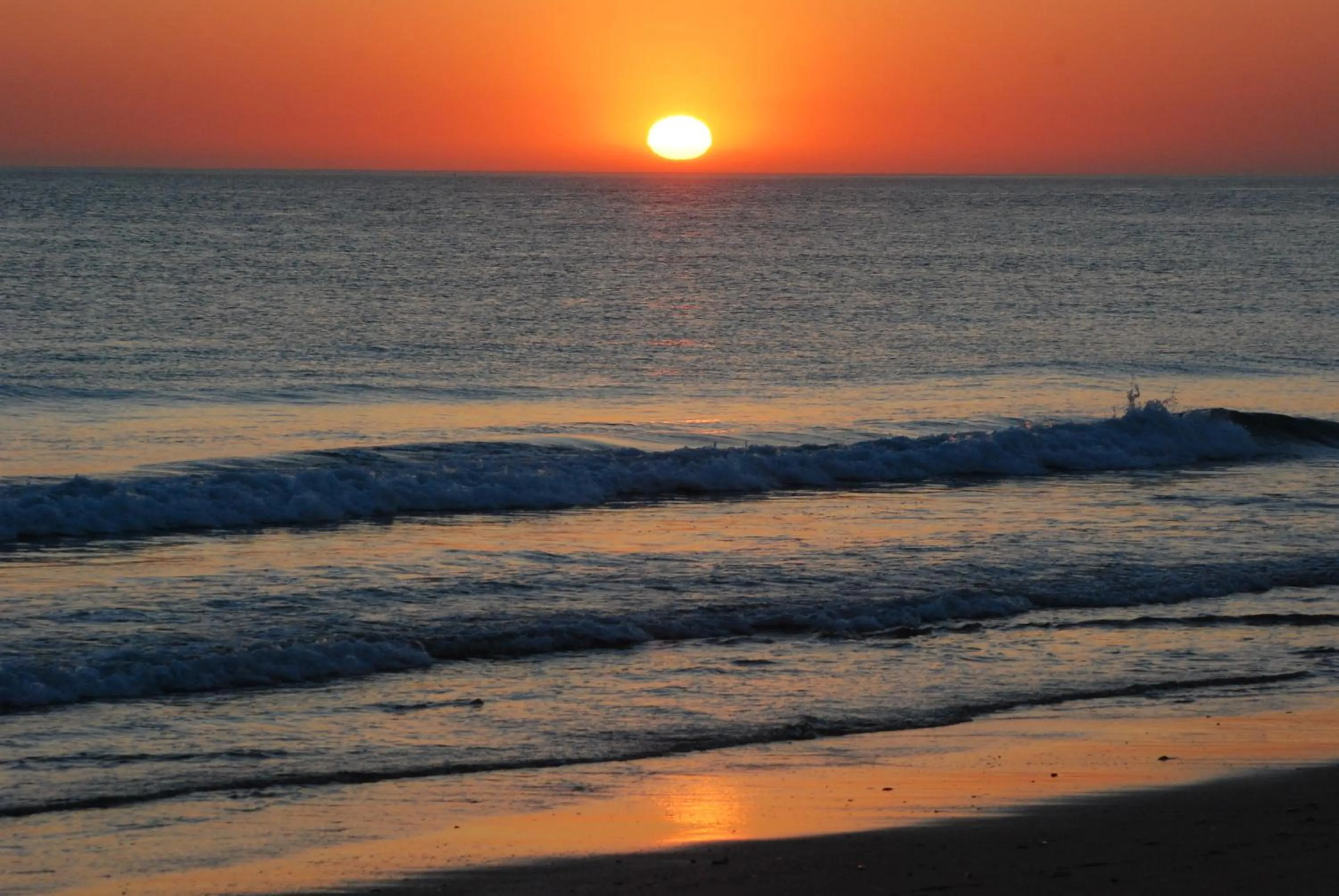 Beach in Life Apartments Alameda Colón