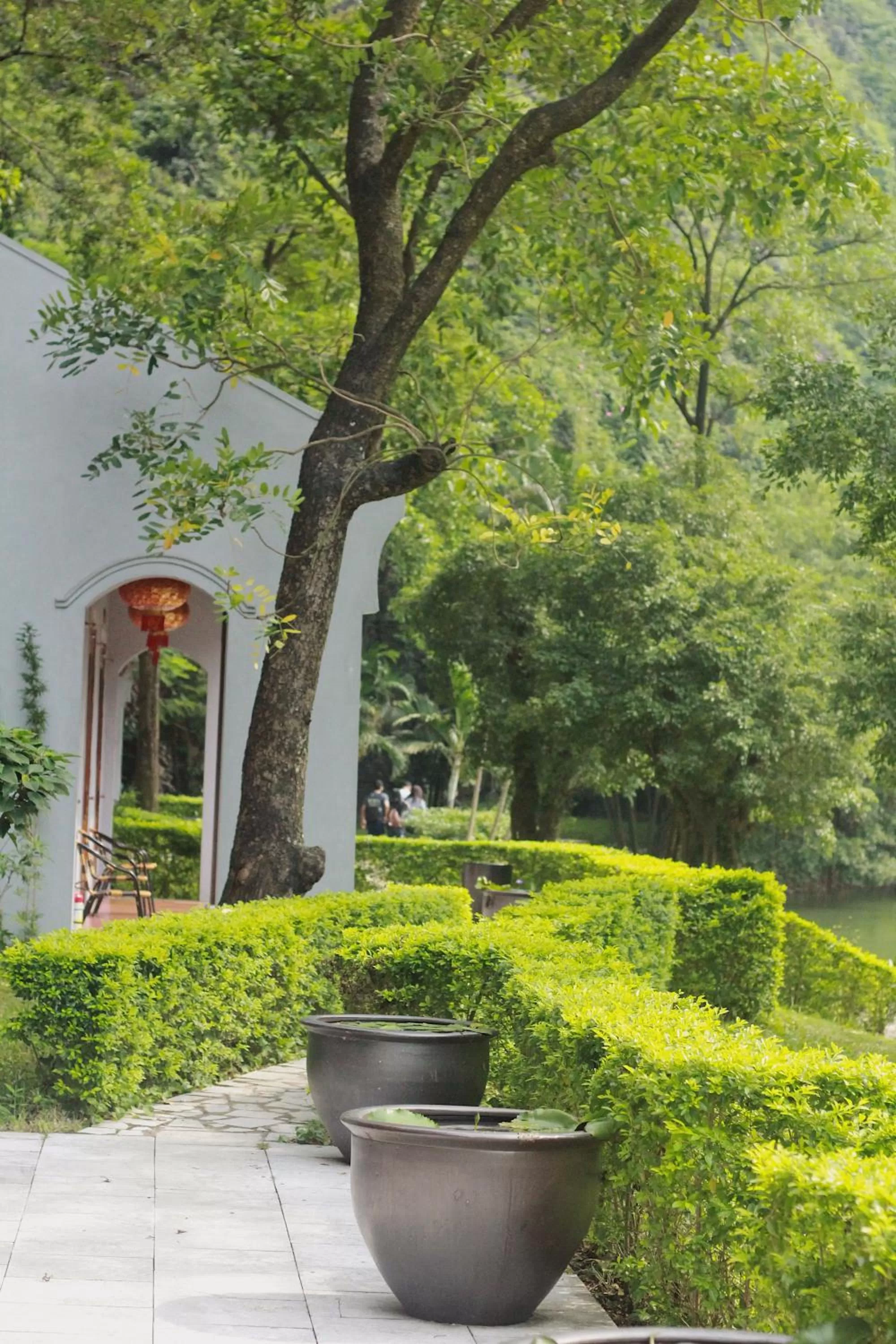 Garden view in Mua Caves Ecolodge (Hang Mua)