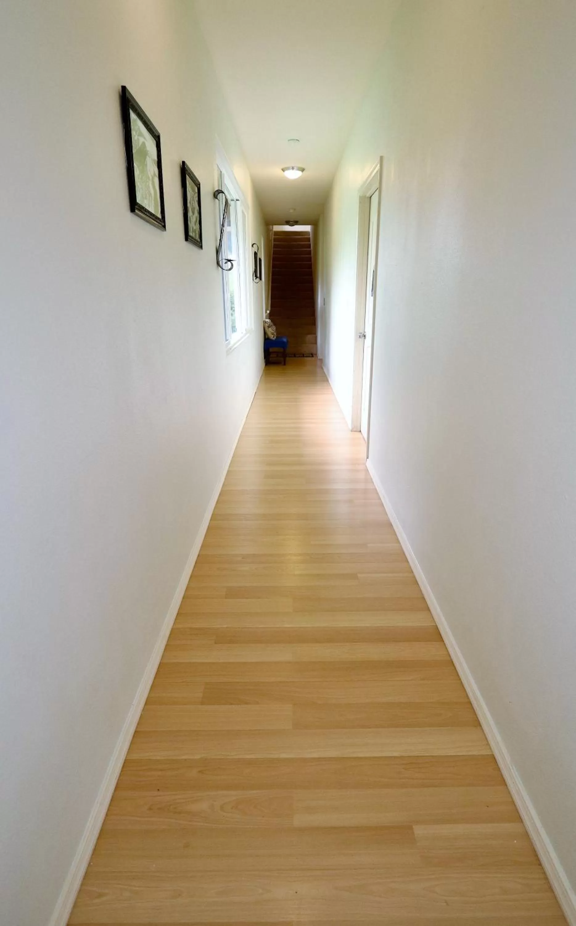 Property building in Volcano Forest Inn