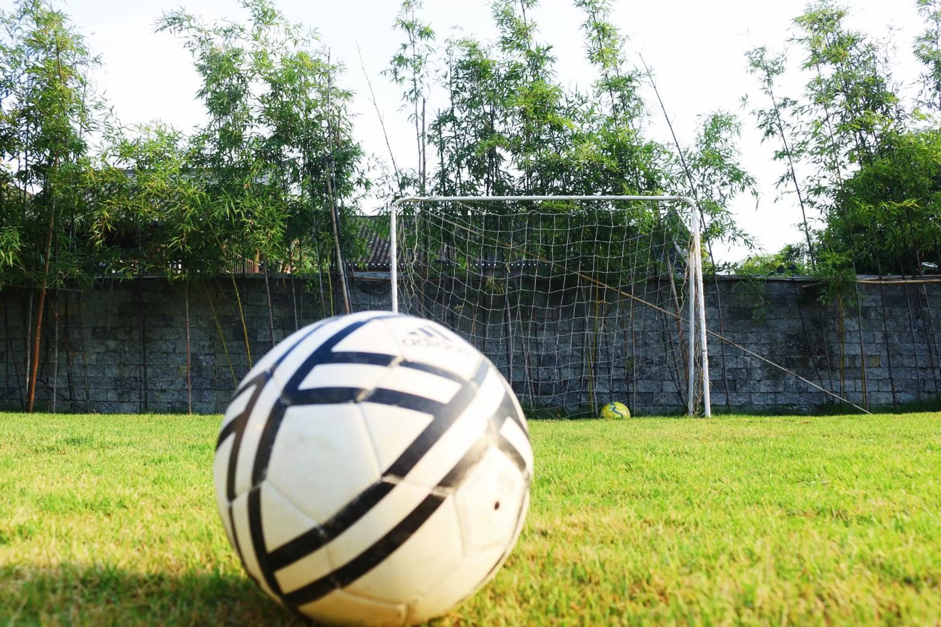 Garden in Banyan Tree Yangshuo